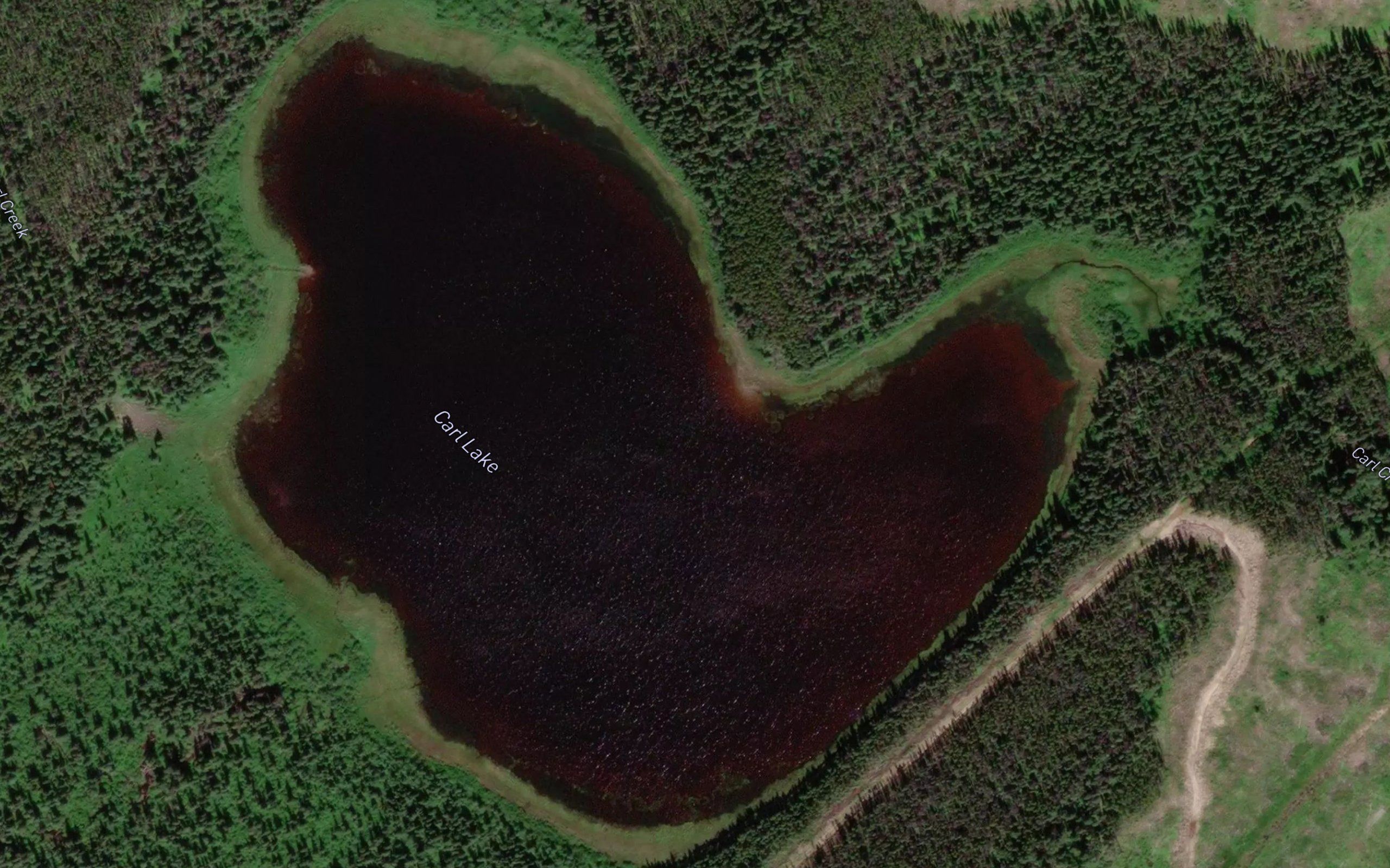 Carl Lake