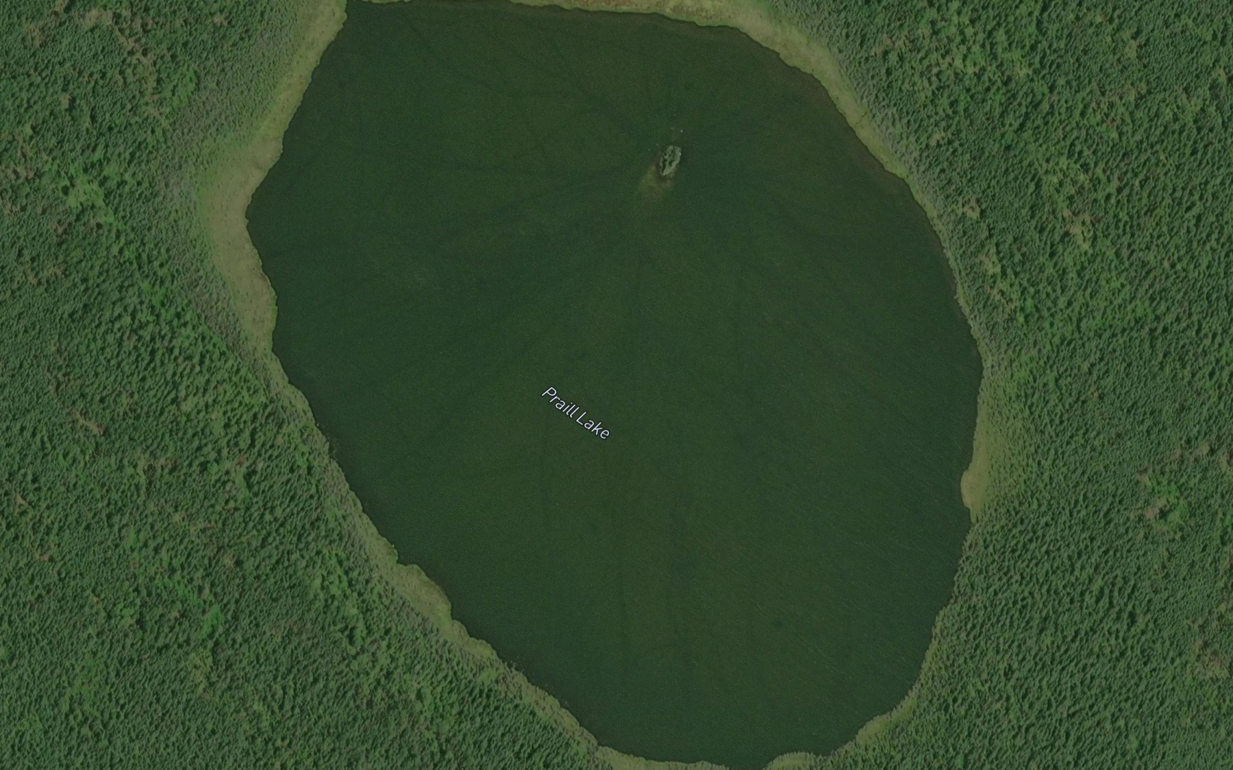 Satellite map of the Praill Lake