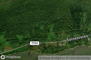Kjoselva