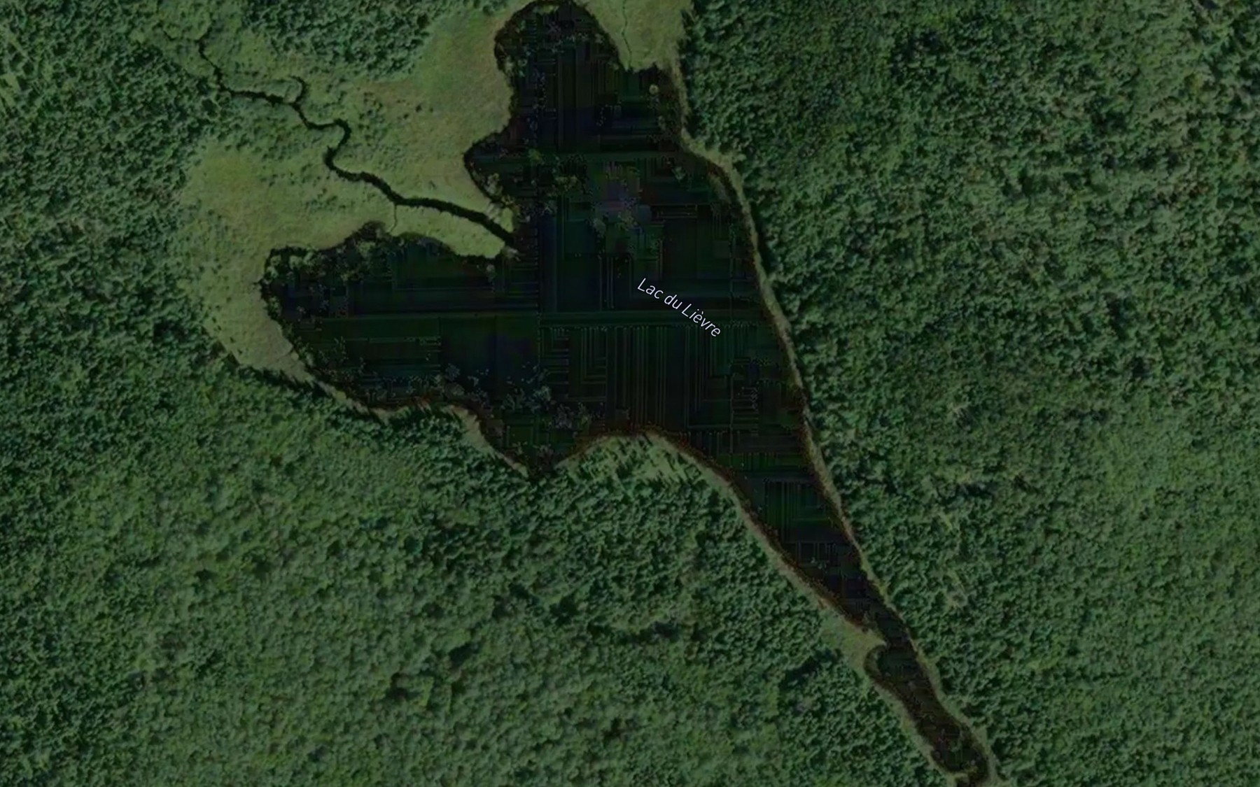 Satellite map of the Lac du Lievre
