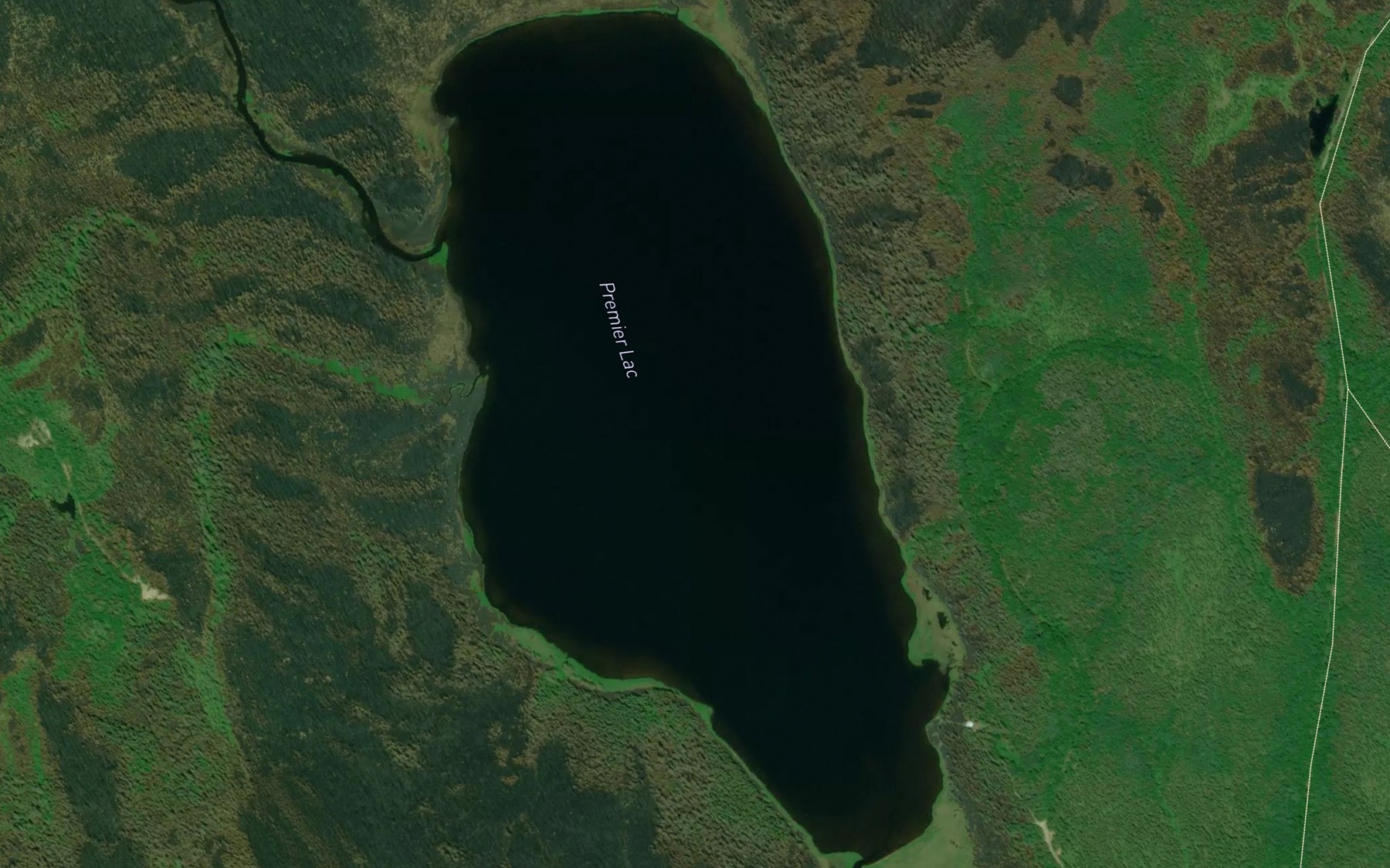 Satellite map of the Premier Lac