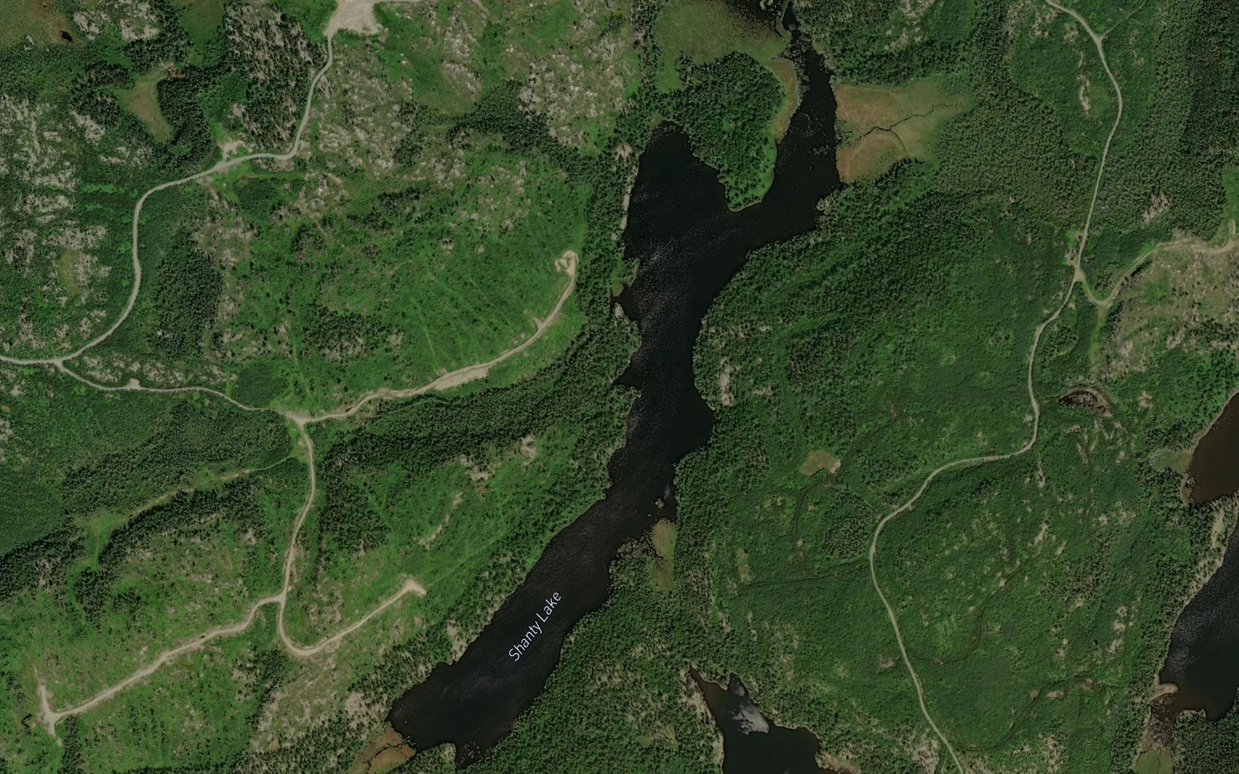 Satellite map of the Shanty Lake