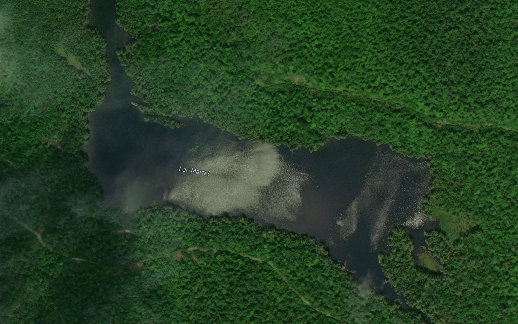 Satellite map of the Lac Martel