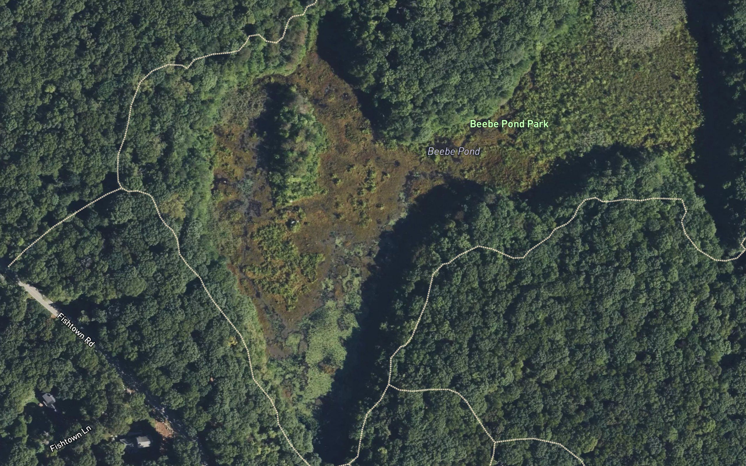 Beebe Pond
