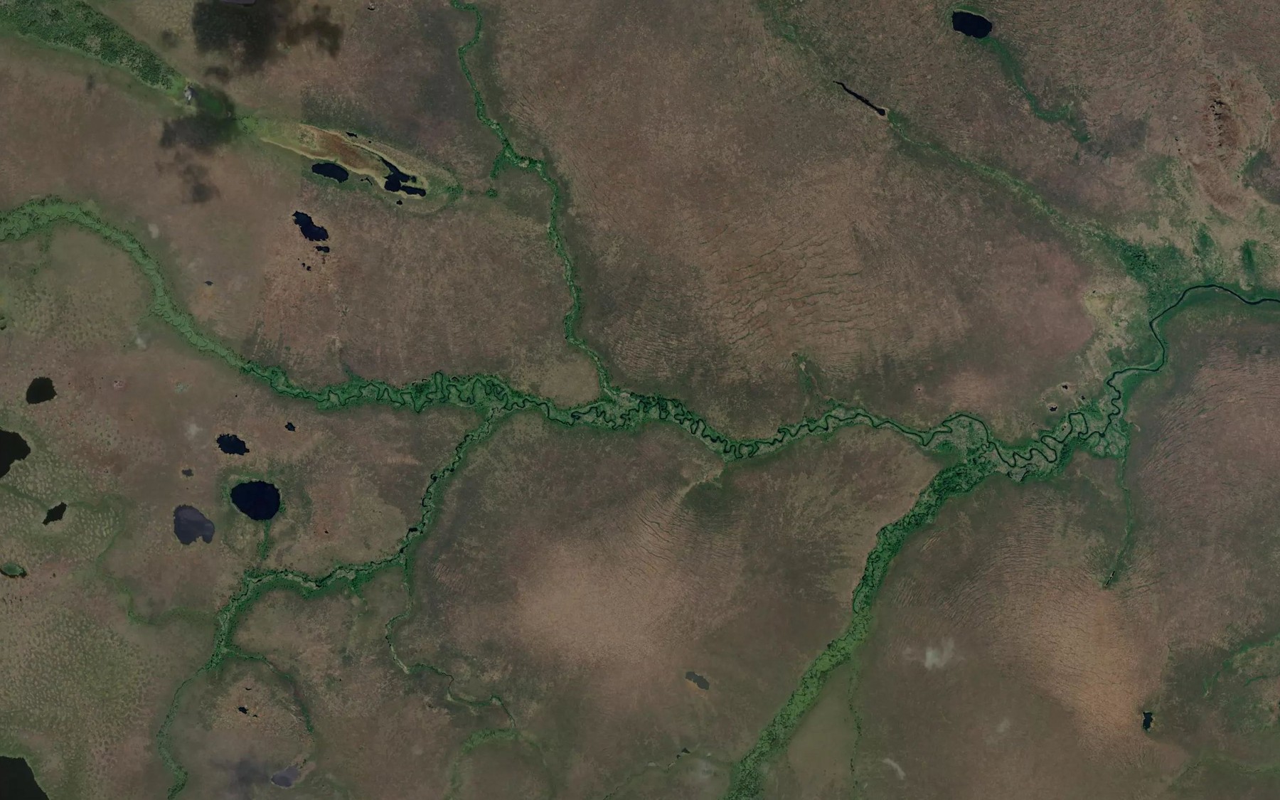 Satellite map of the Protochnyy