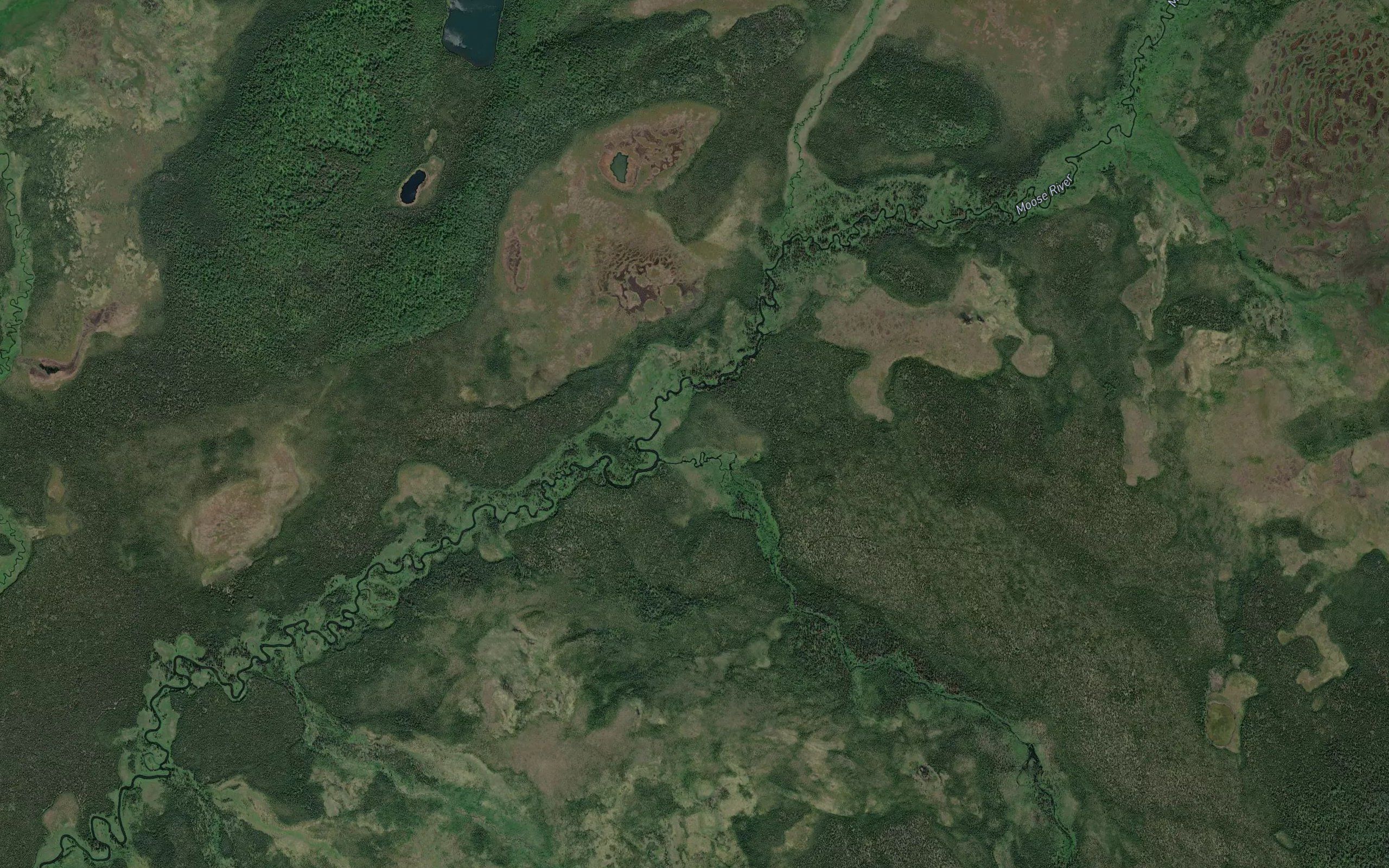 East Fork Moose Creek