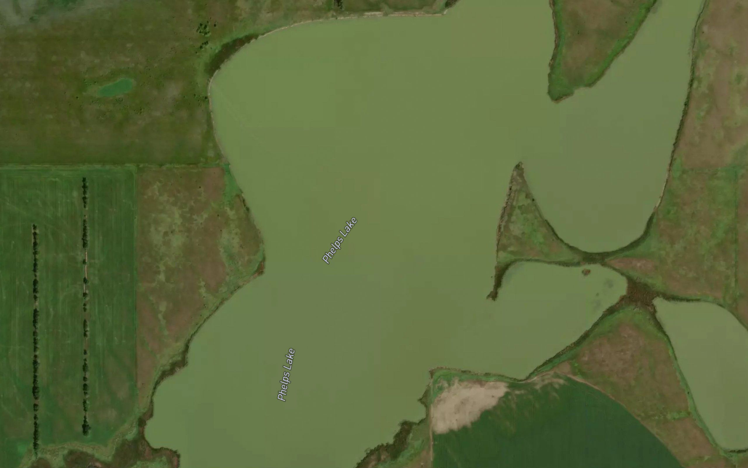 Phelps Lake