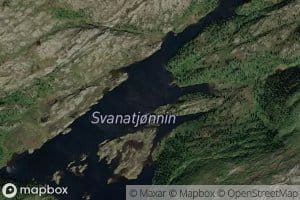 Svantjornin