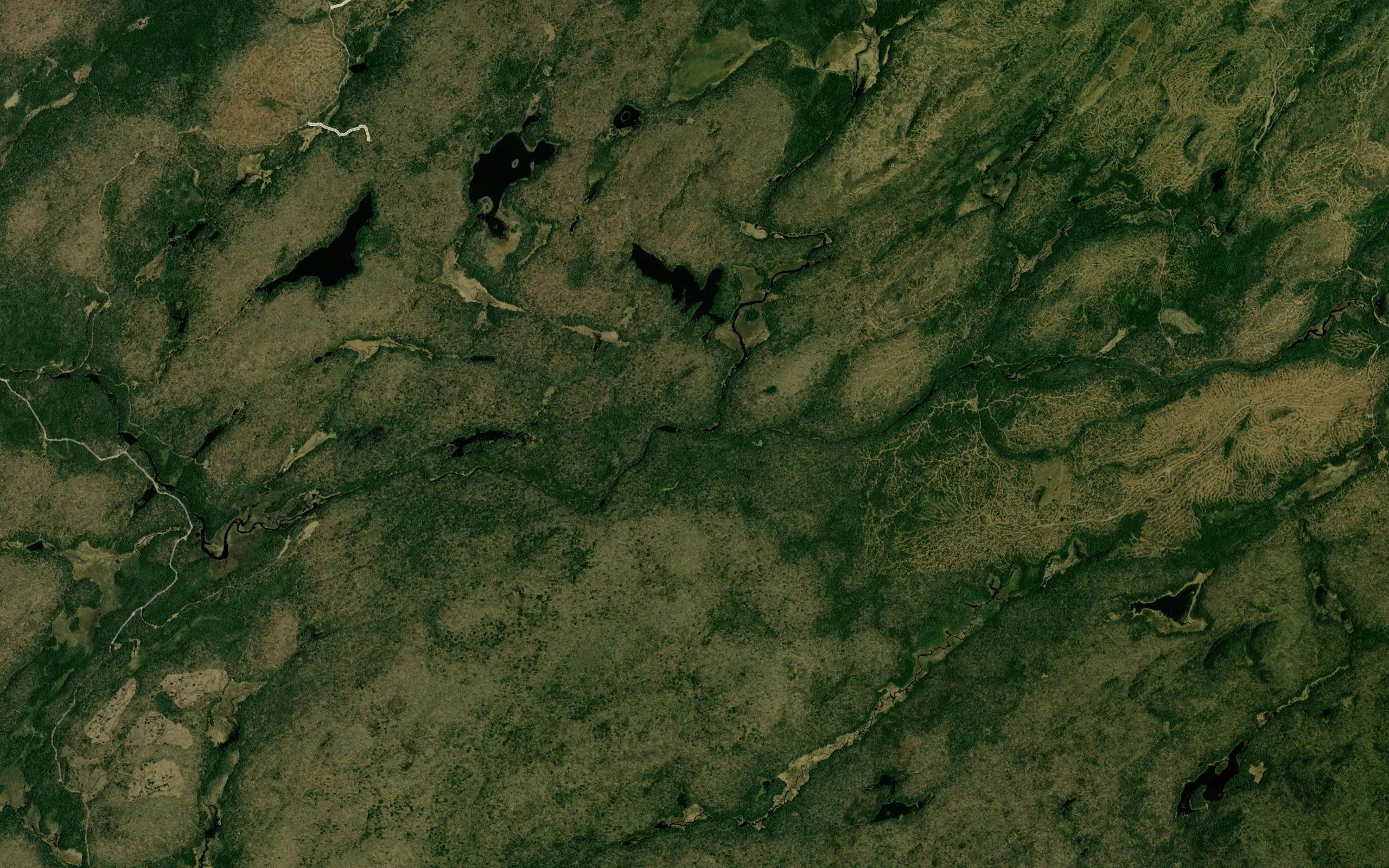 Moose Creek