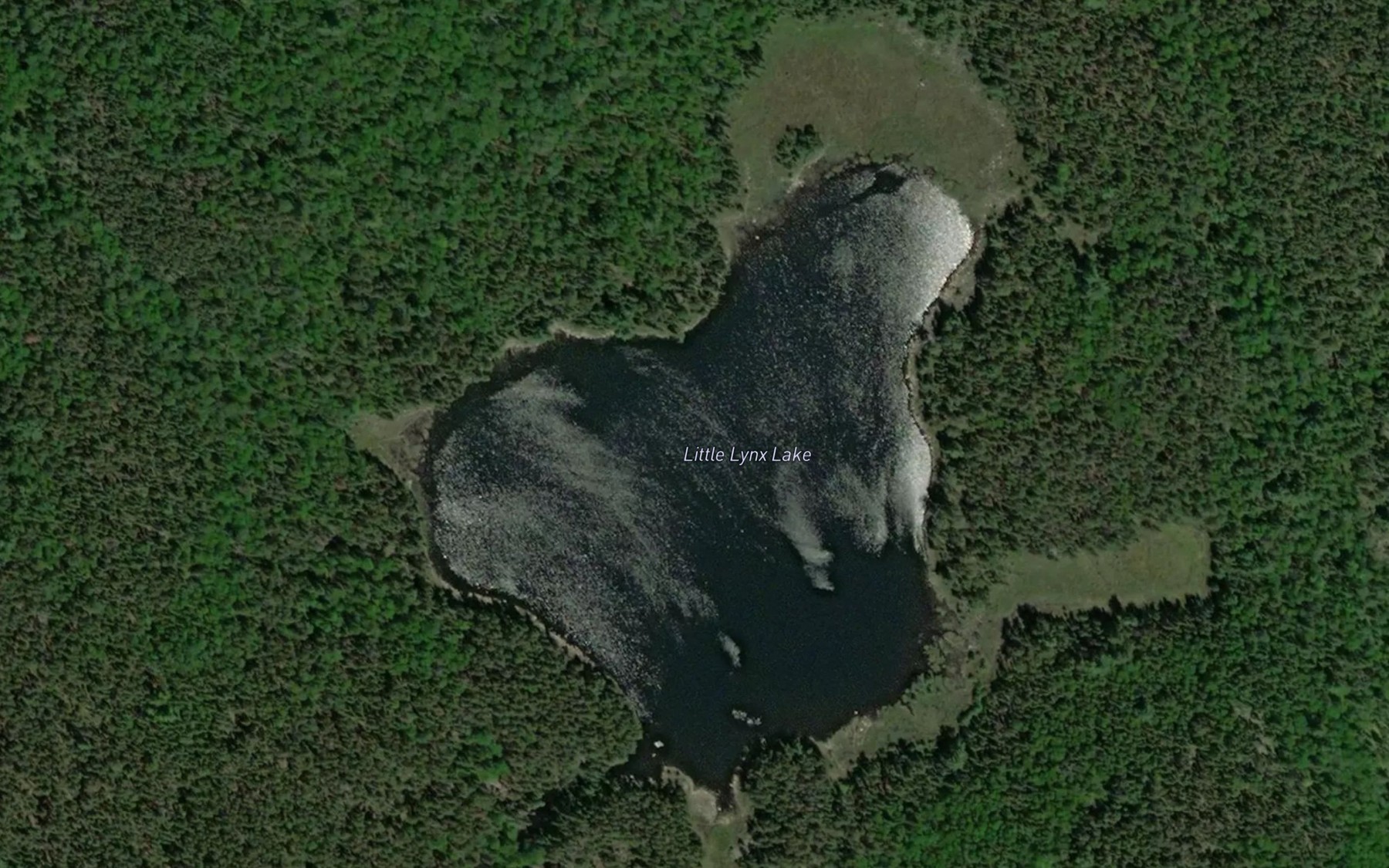 Satellite map of the Little Lynx Lake