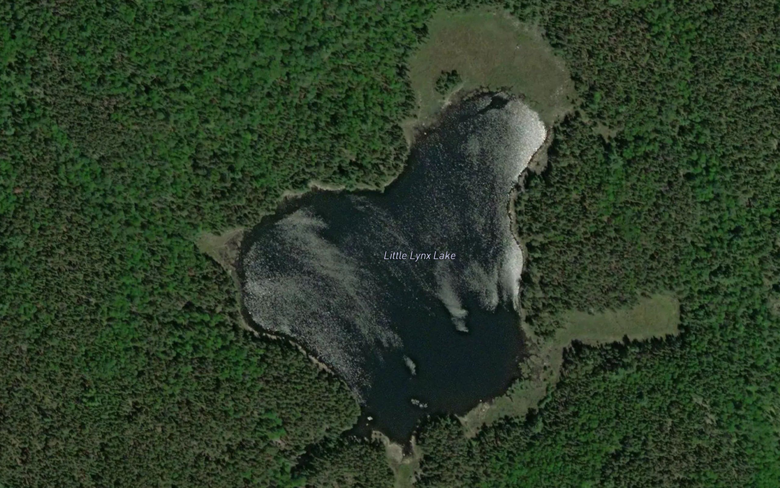 Little Lynx Lake