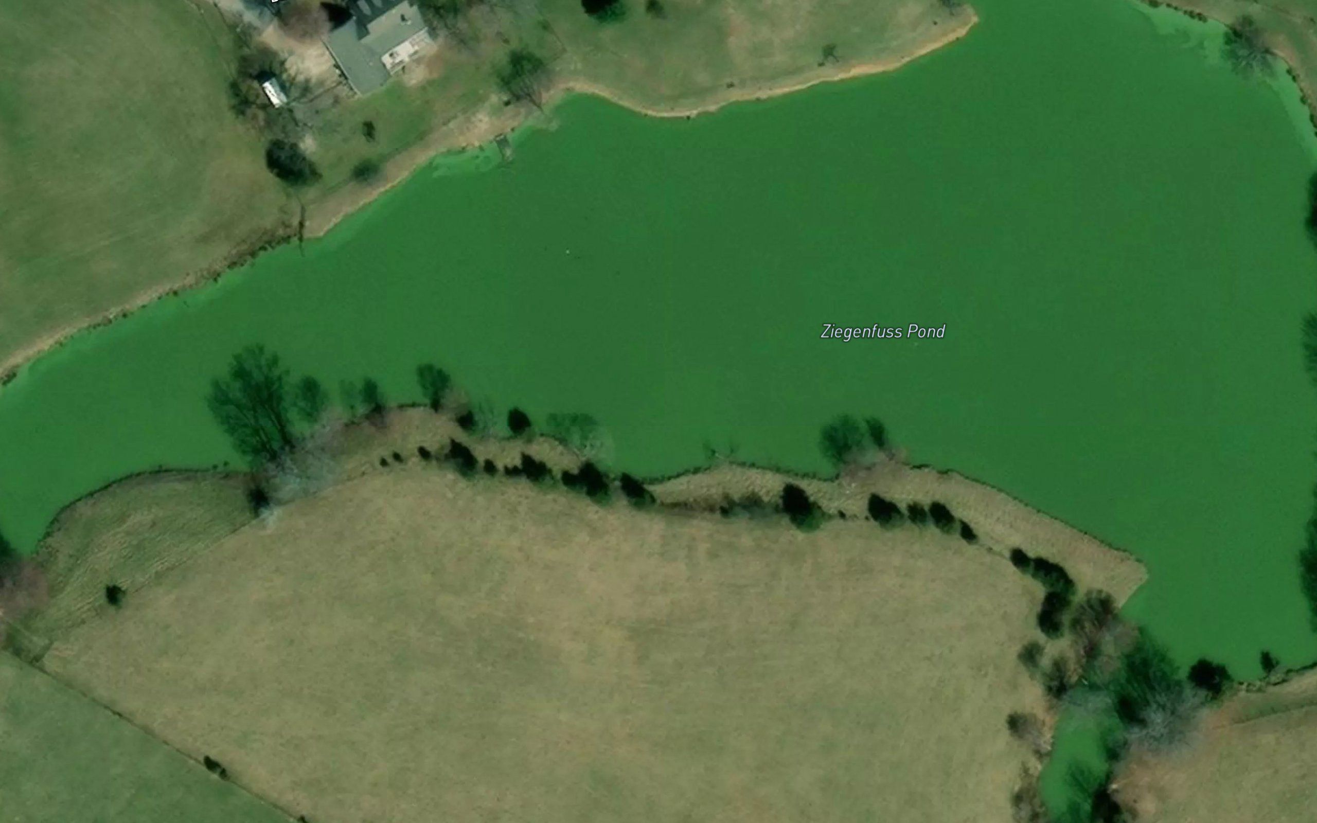 Ziegenfuss Pond