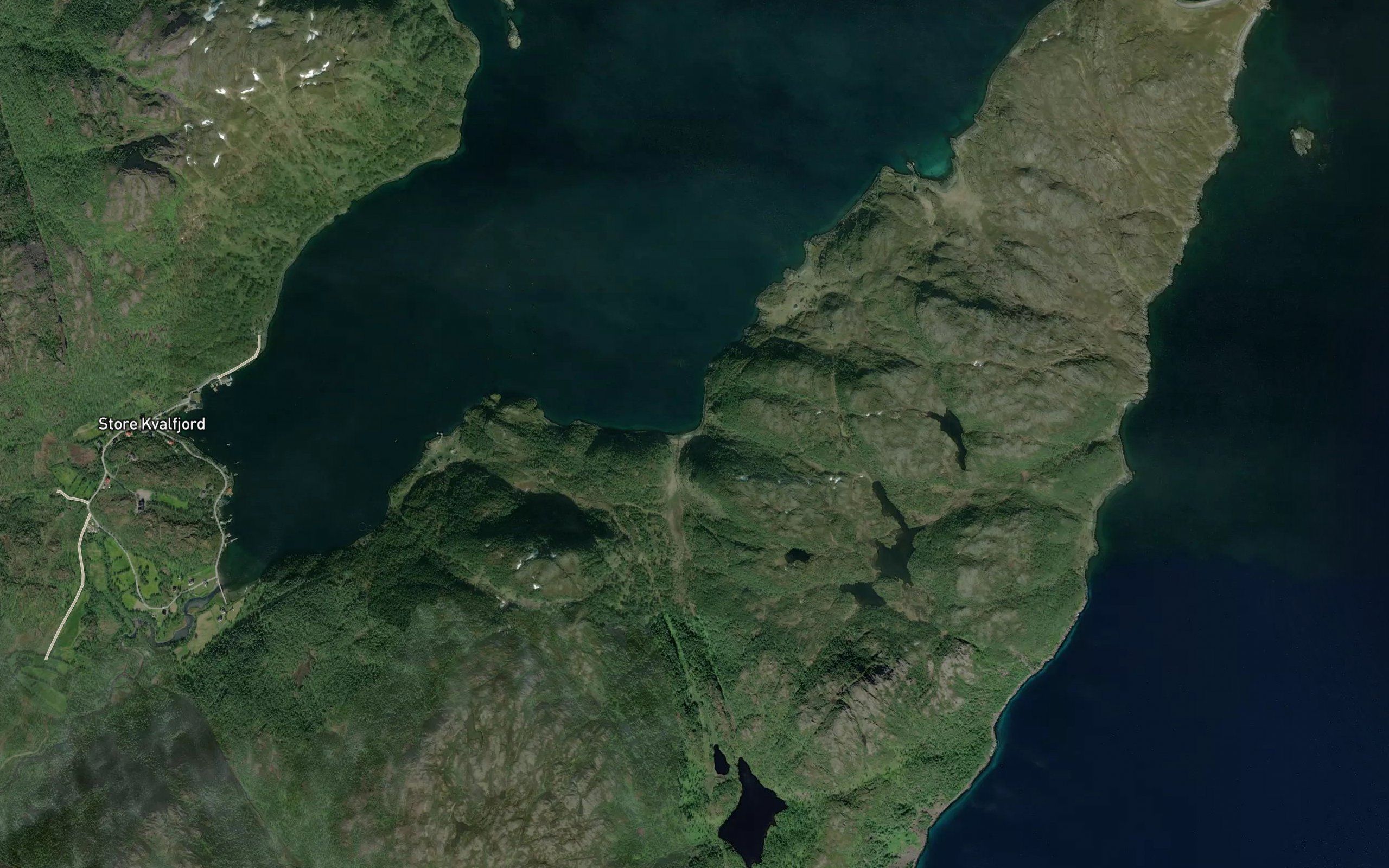 Halddagohppi