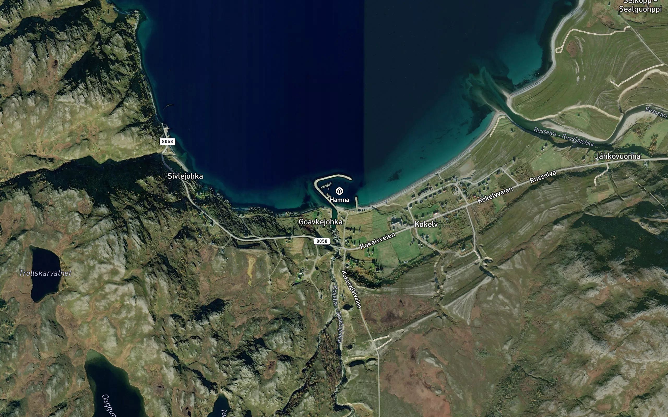 Kokelva