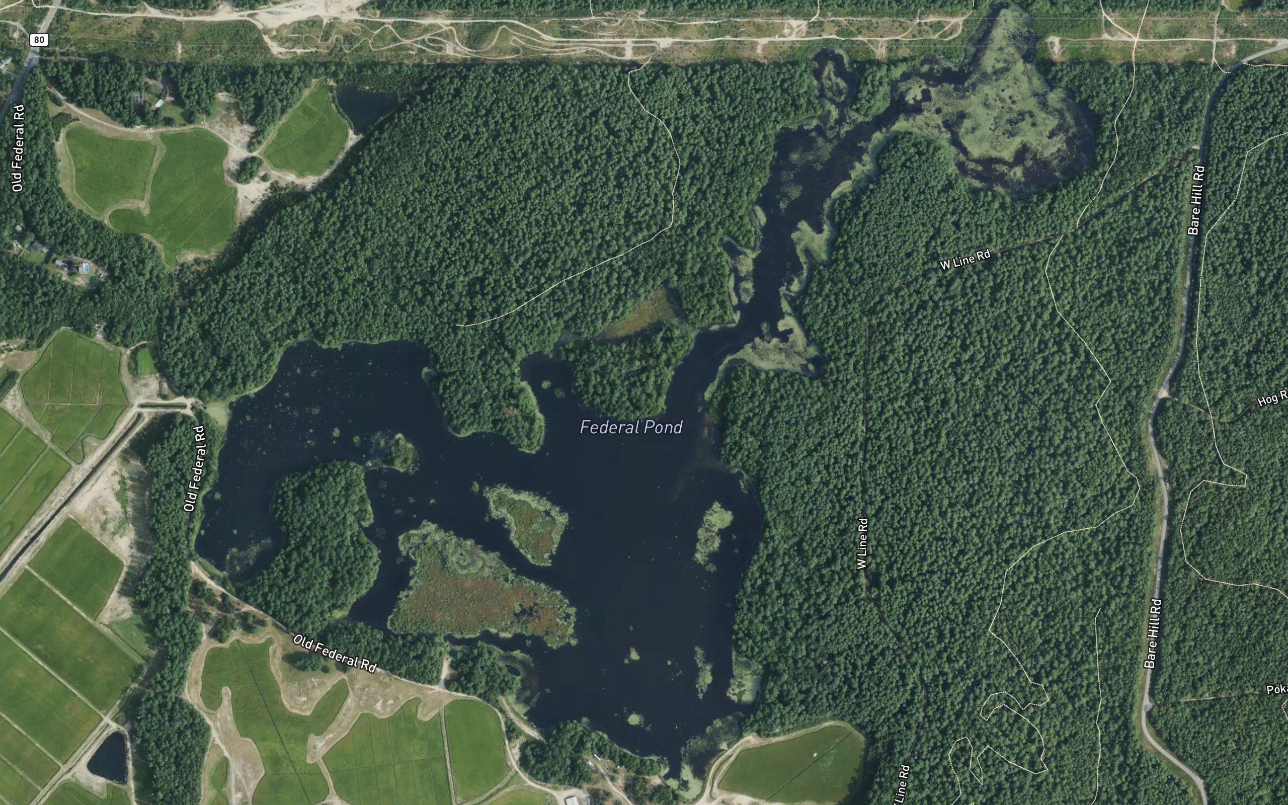 Federal Pond