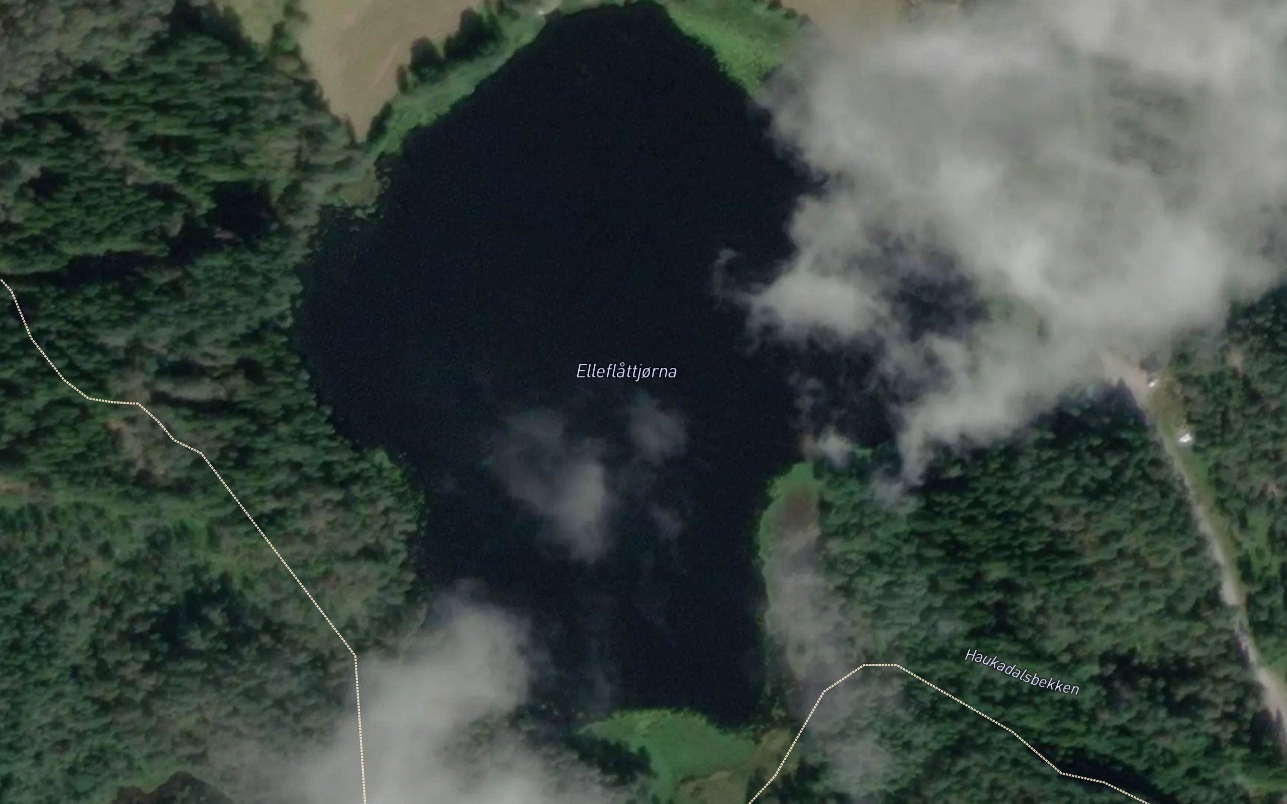 Elleflattjorna