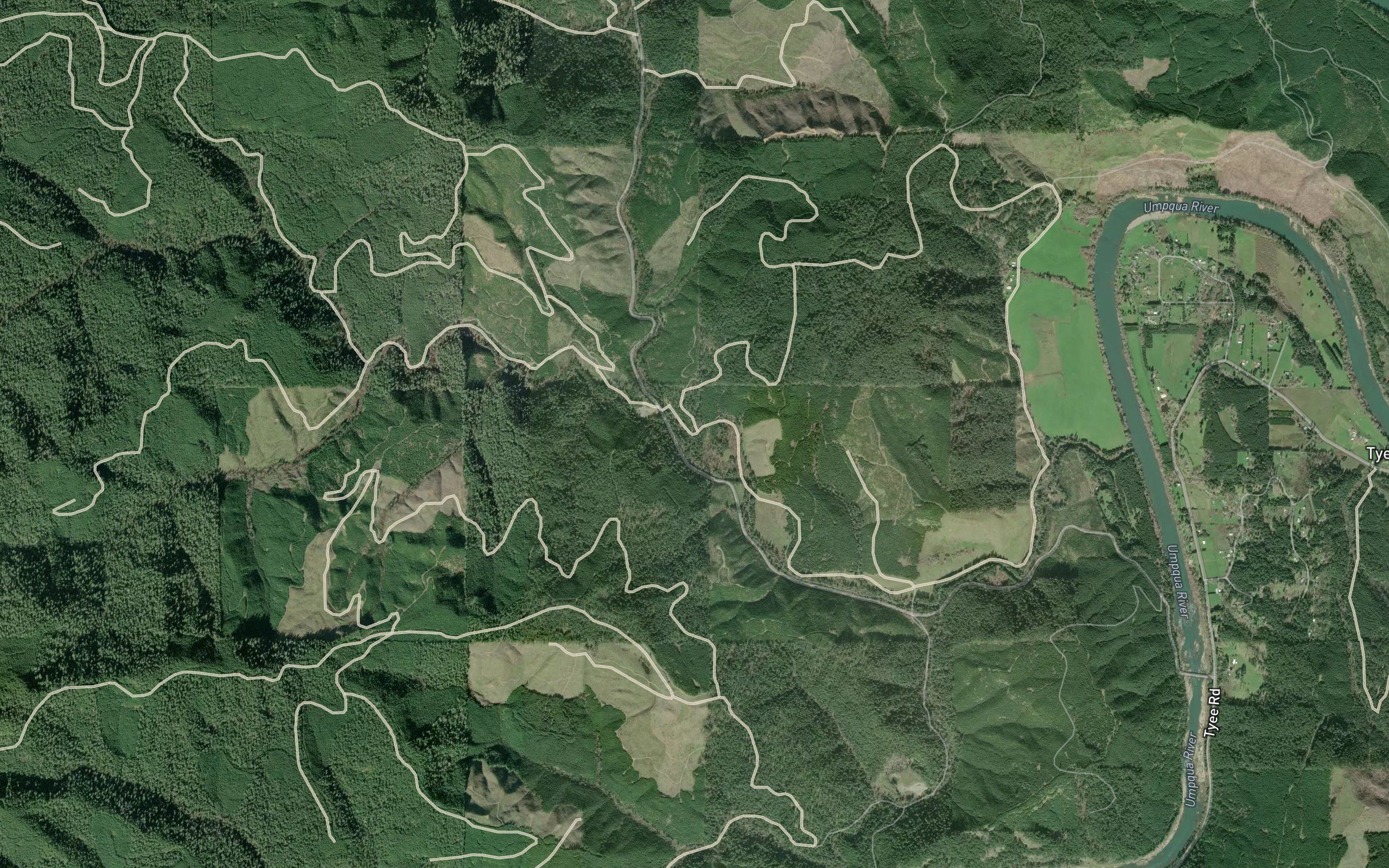 Miner Creek