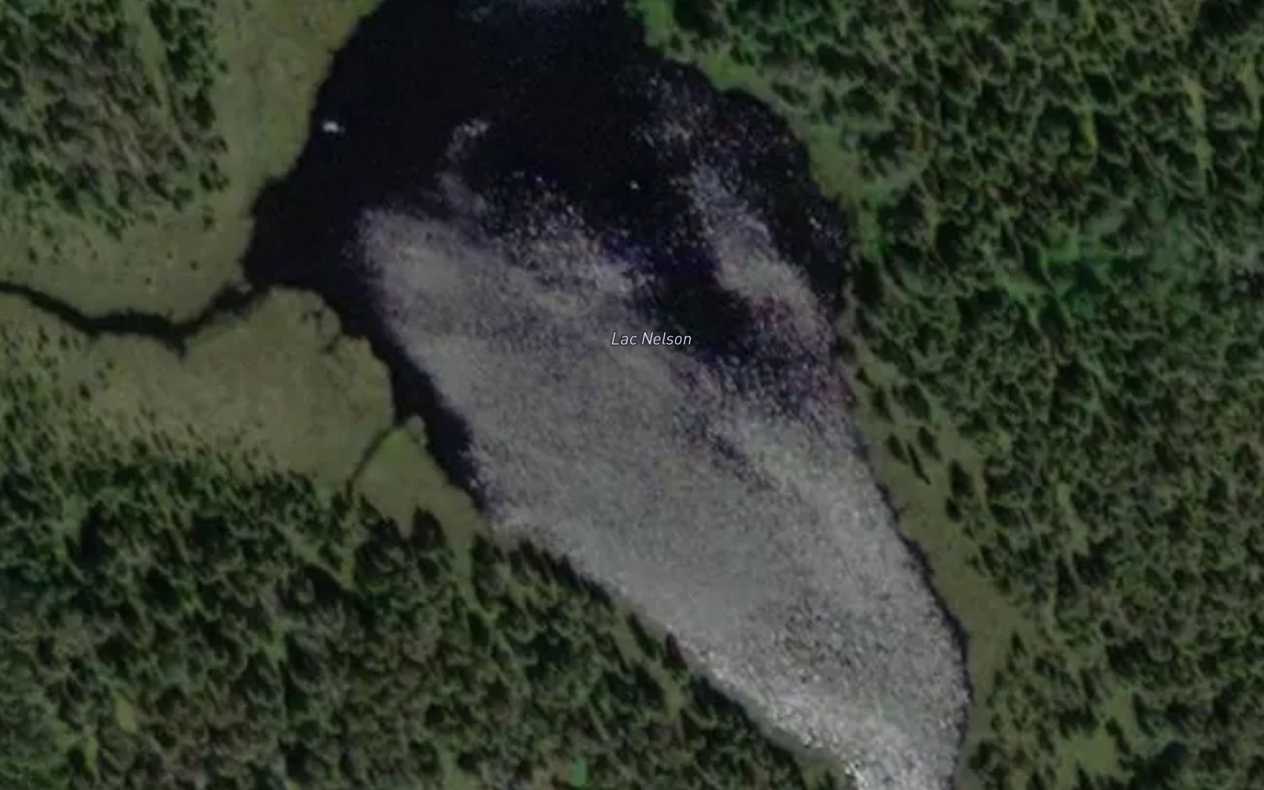 Satellite map of the Lac Nelson