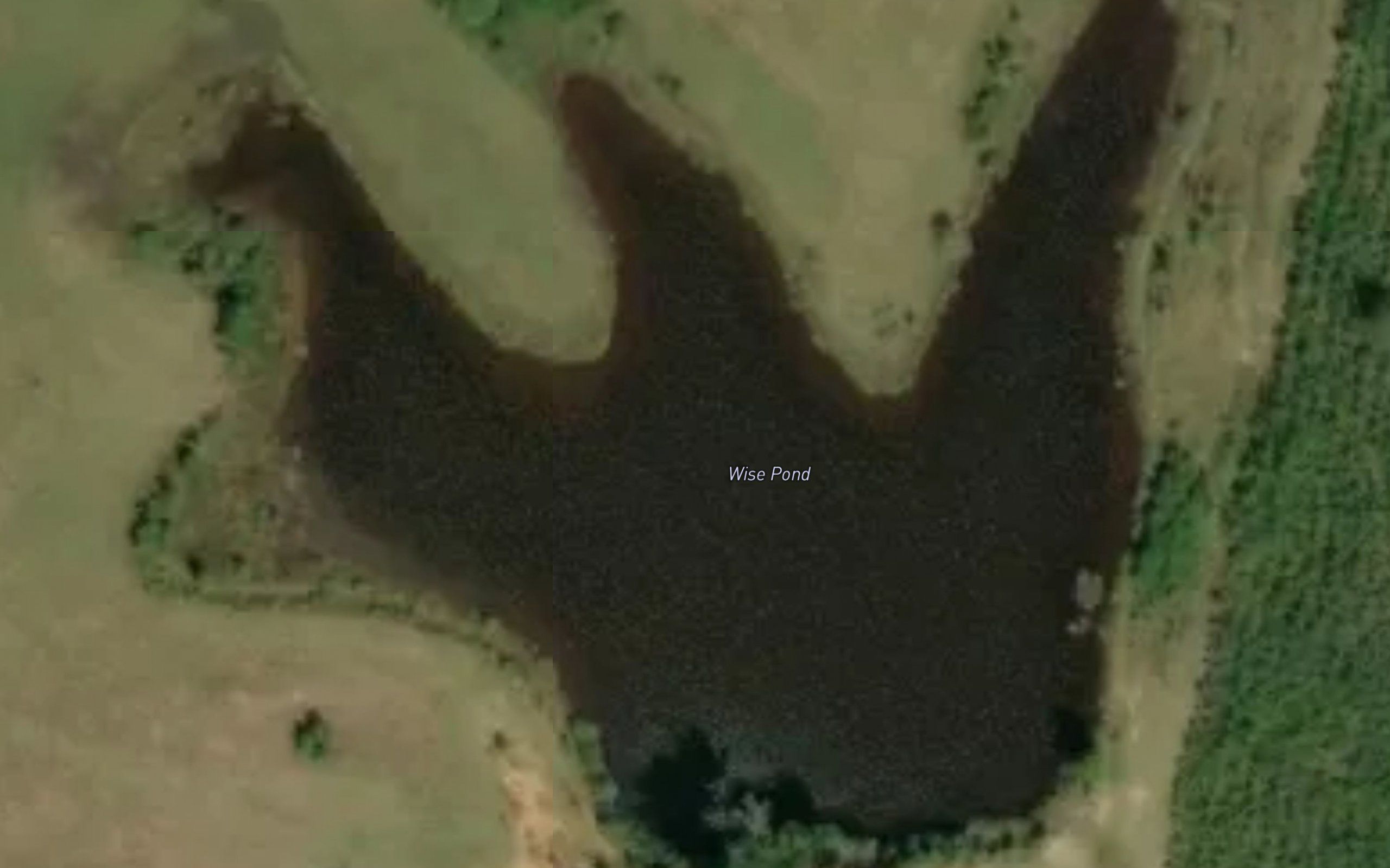Wise Pond