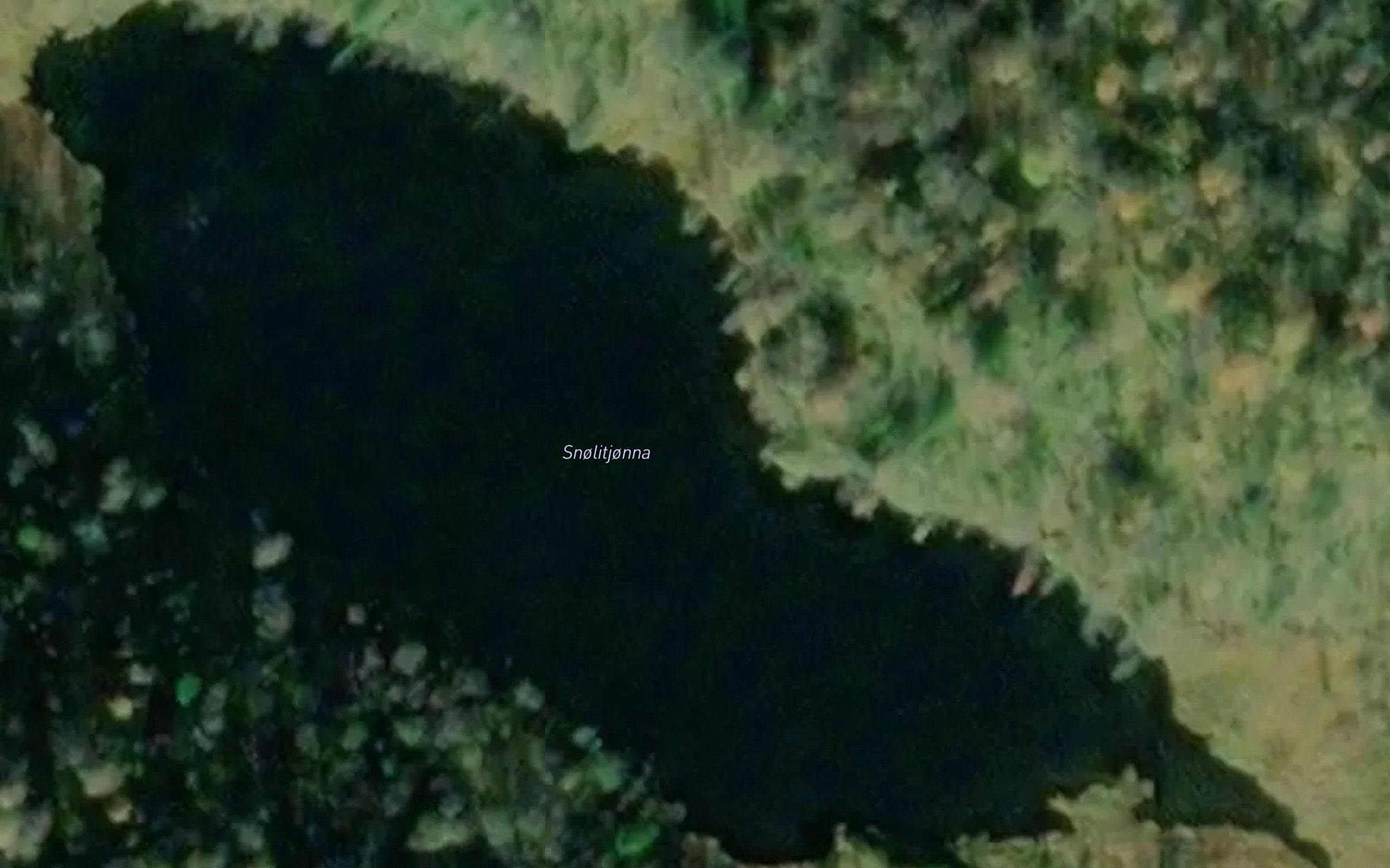 Snelitjonna