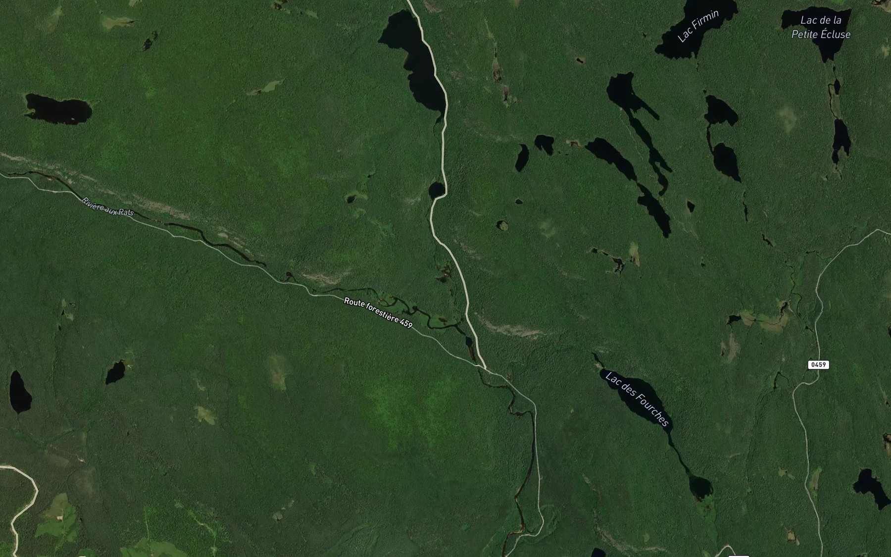 Satellite map of the Lac de la Pointe