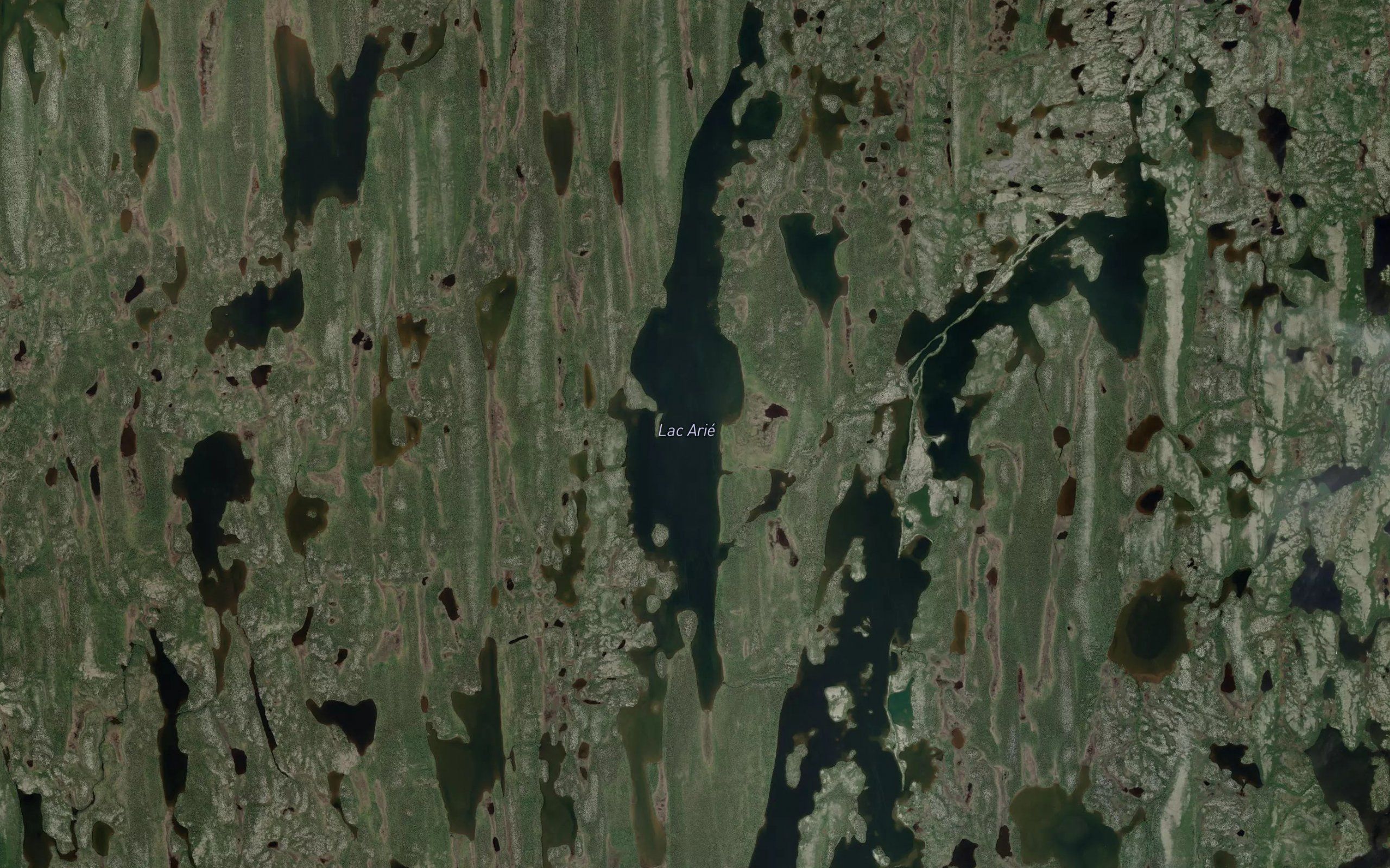 Lac Arie