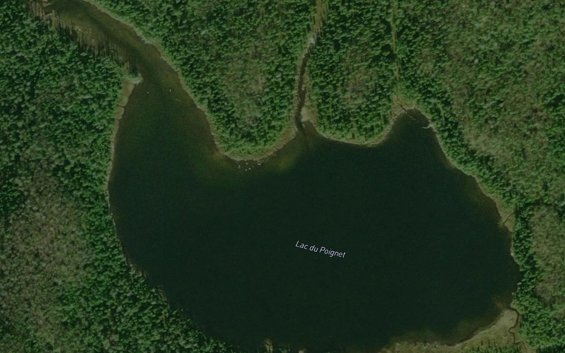 Satellite map of the Lac du Poignet