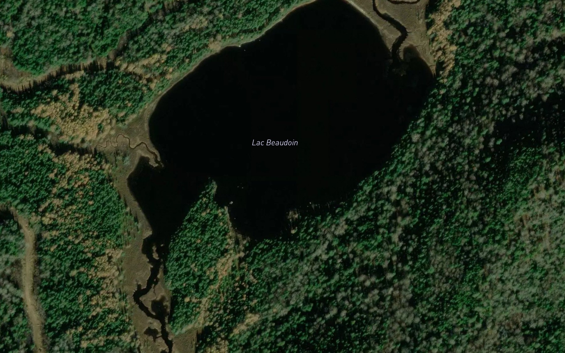 Satellite map of the Lac Beaudoin
