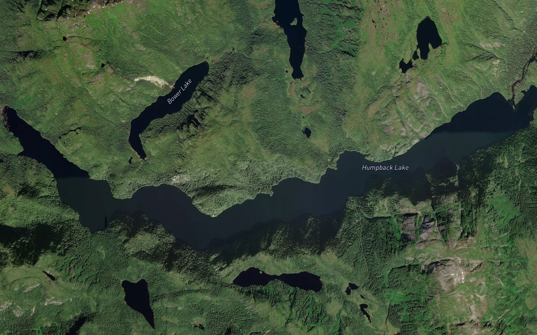 Satellite map of the Humpback Lake