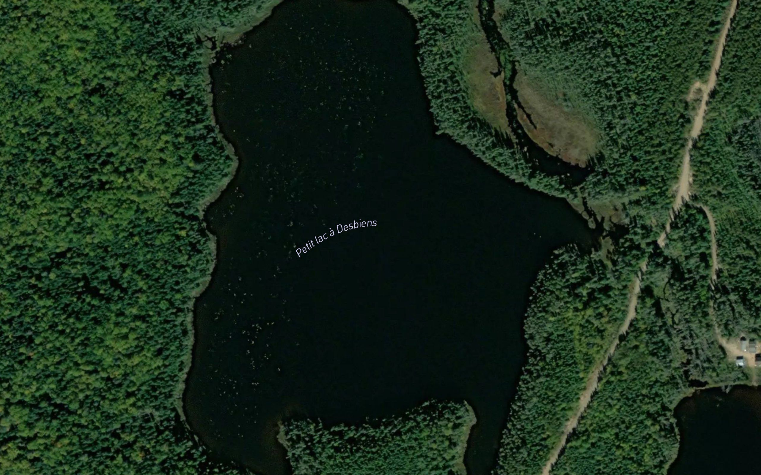 Petit lac a Desbiens