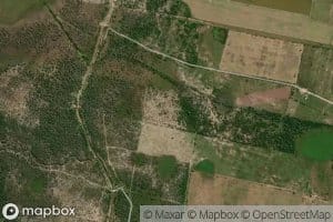 Arroyo de Los Troncos