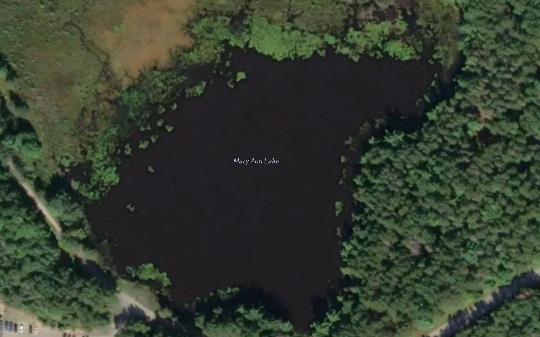 Satellite map of the Mary Ann Lake
