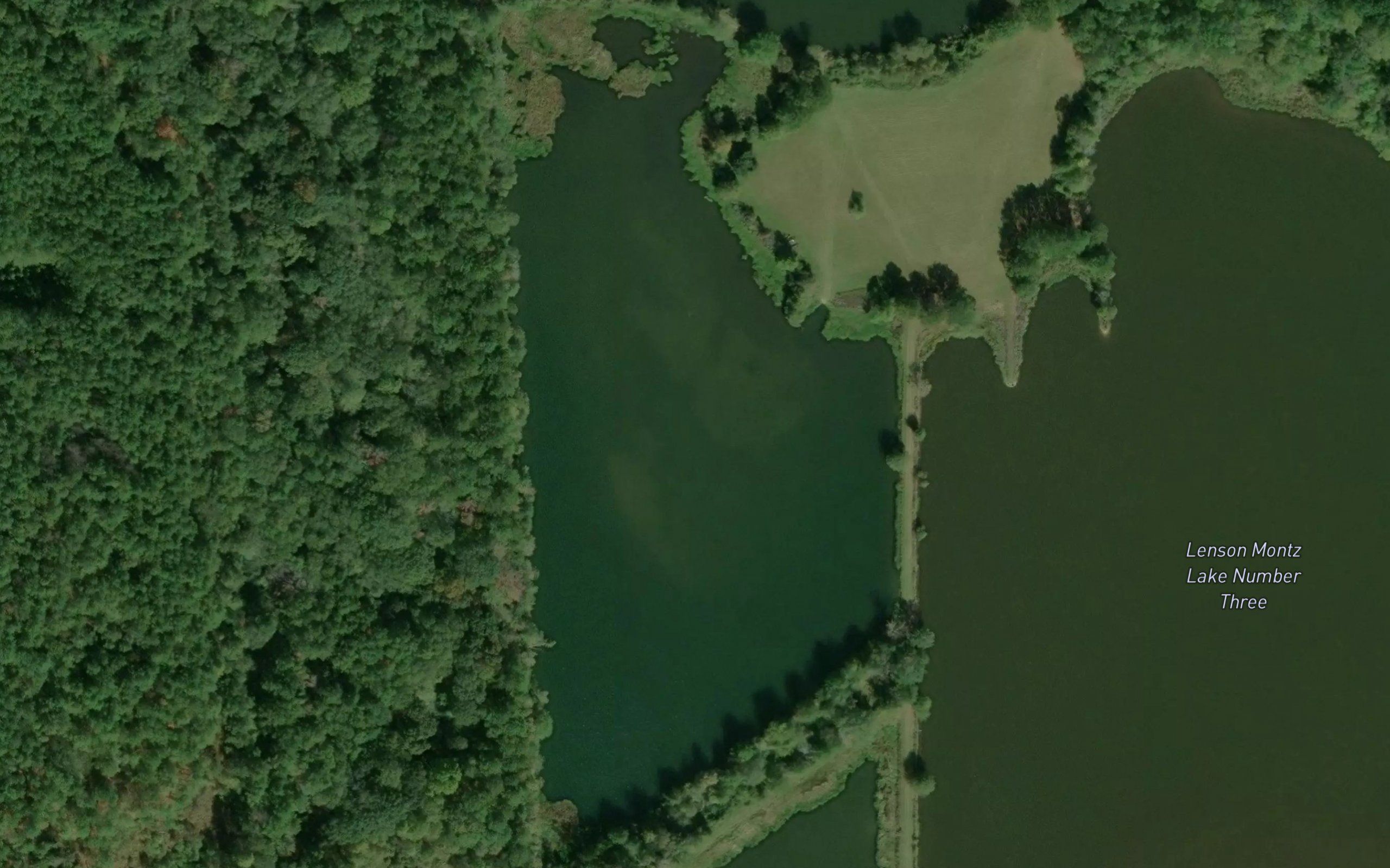 Montz Lake Number Four