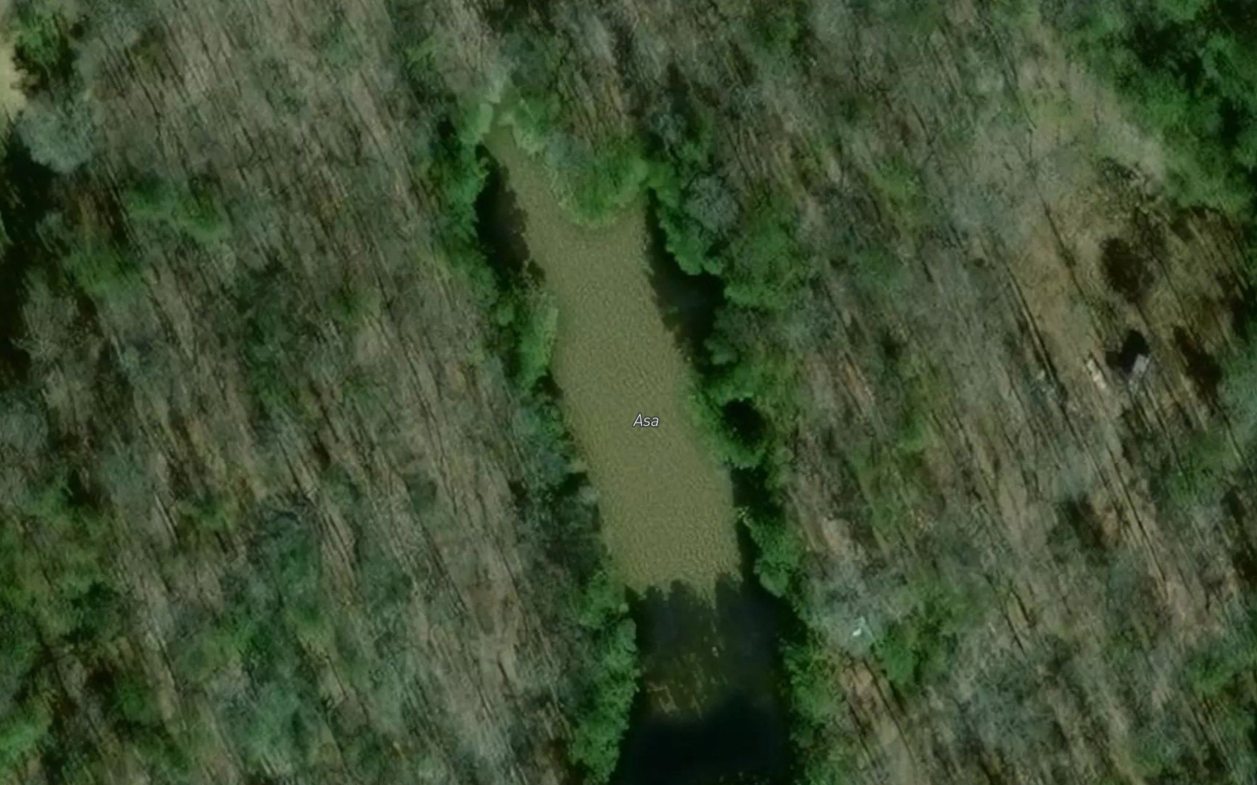 Lake Asa