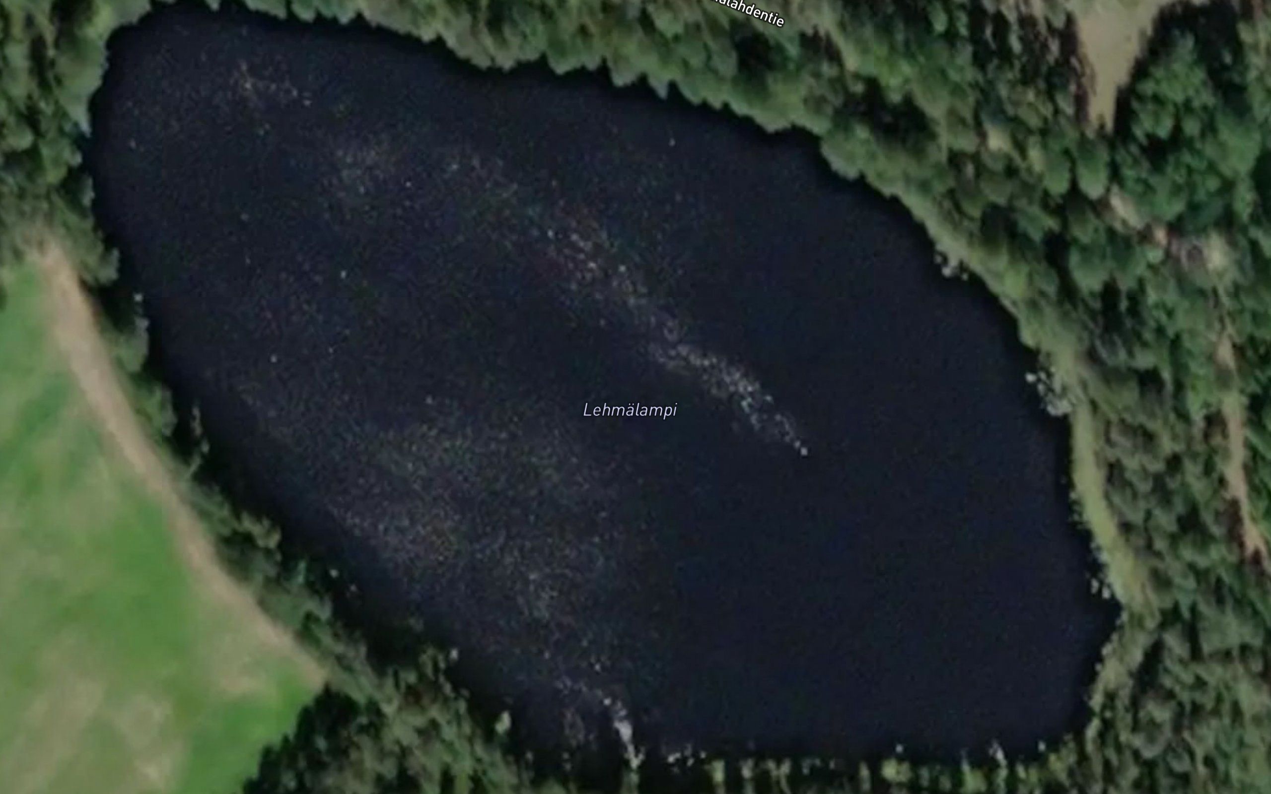 Lehmalampi