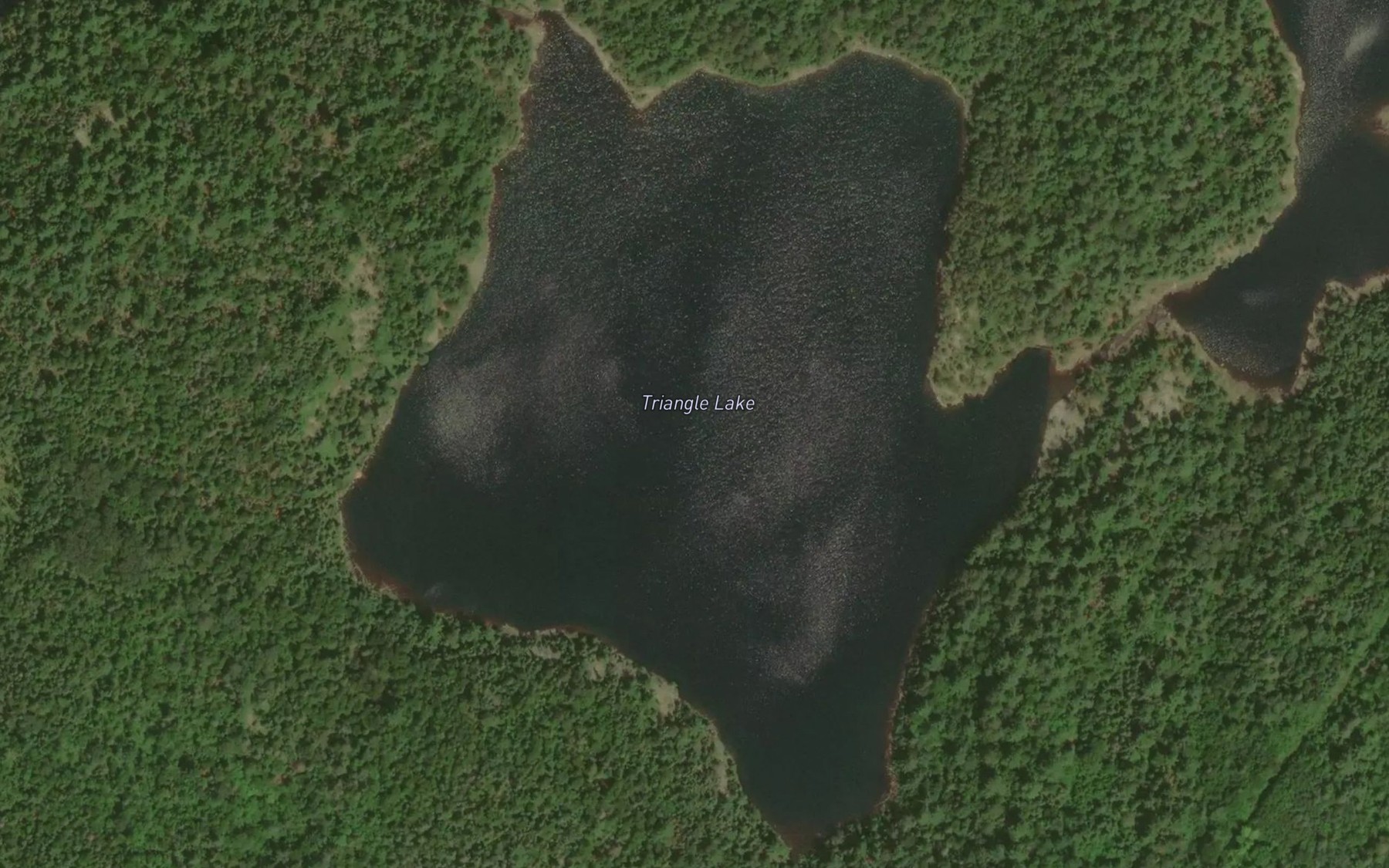 Satellite map of the Triangle Lake