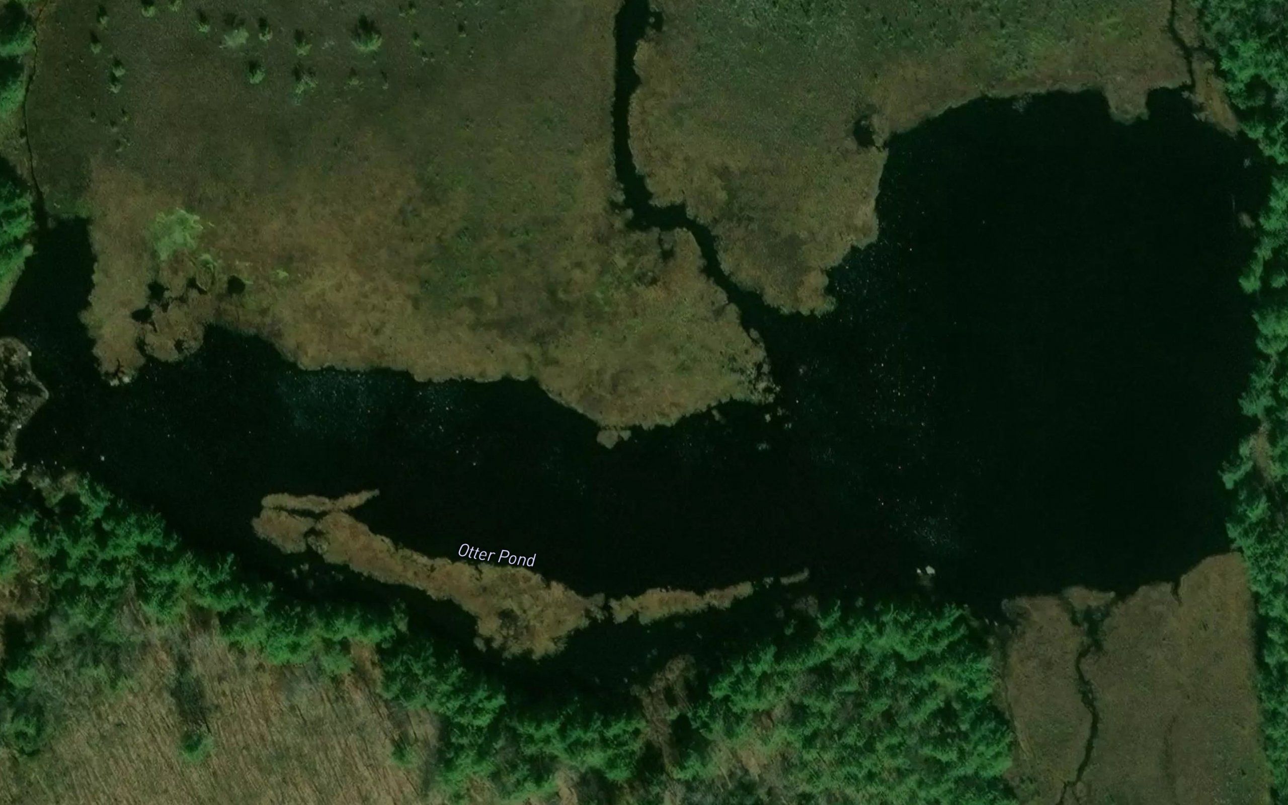 Otter Bog