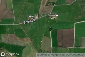 Spolbek