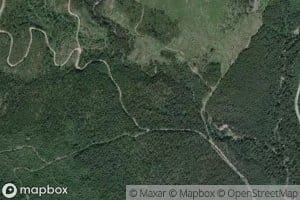 Walter Creek