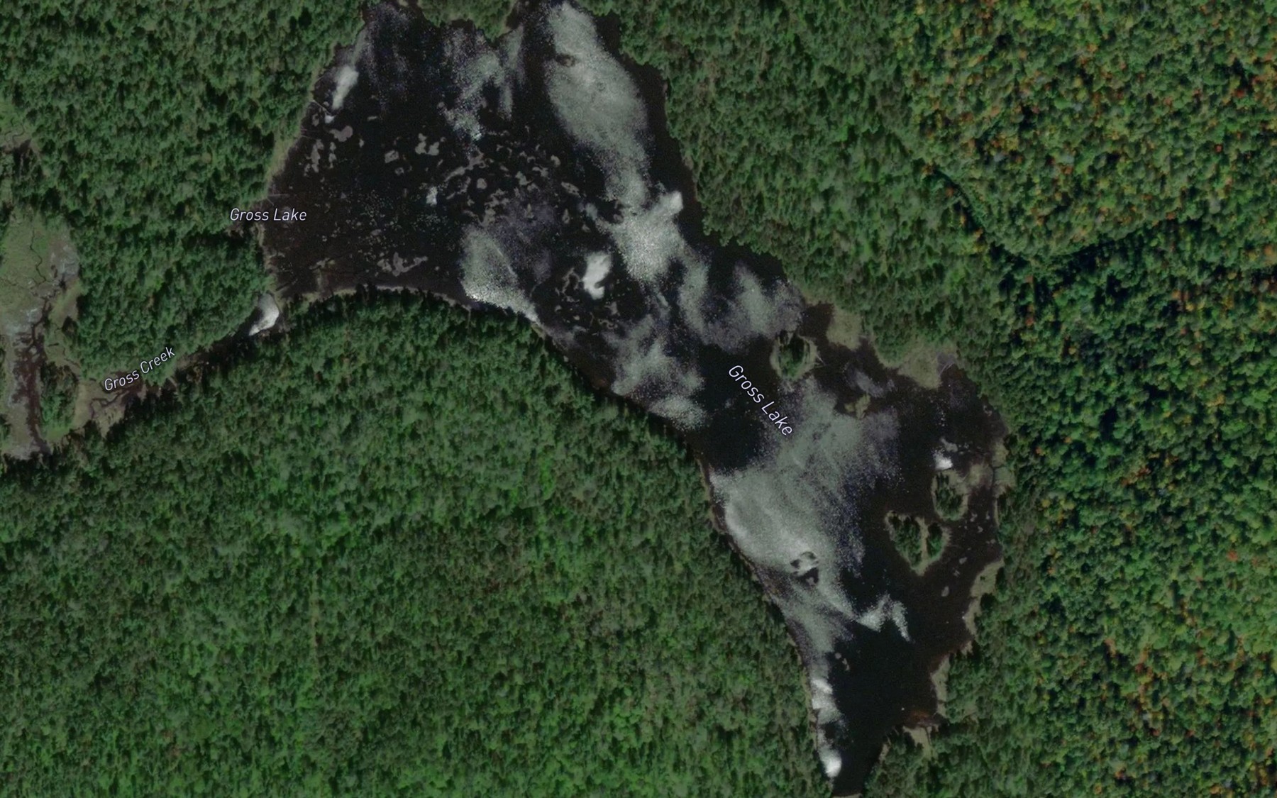 Satellite map of the Gross Lake