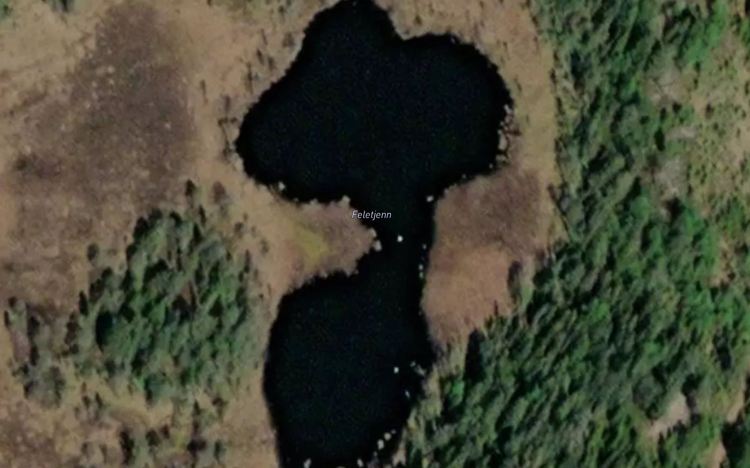 Feletjern