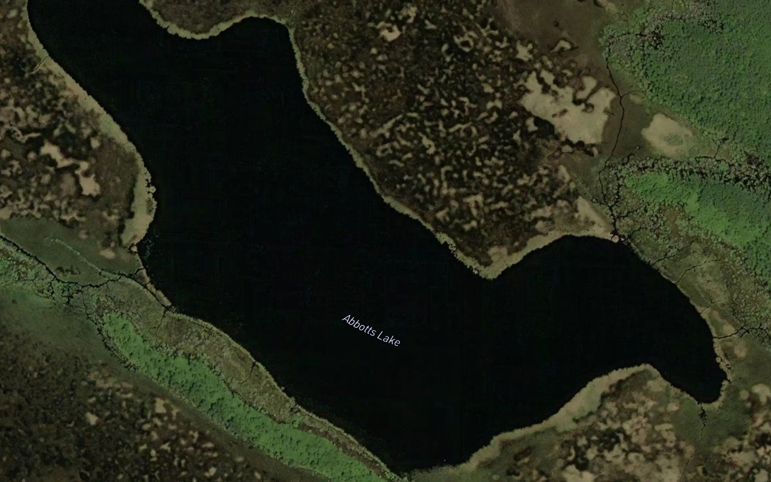 Abbotts Lake