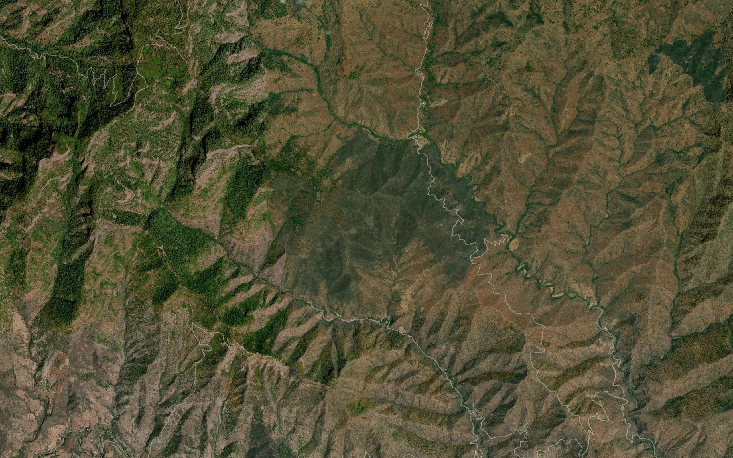 Barranca El Borrego