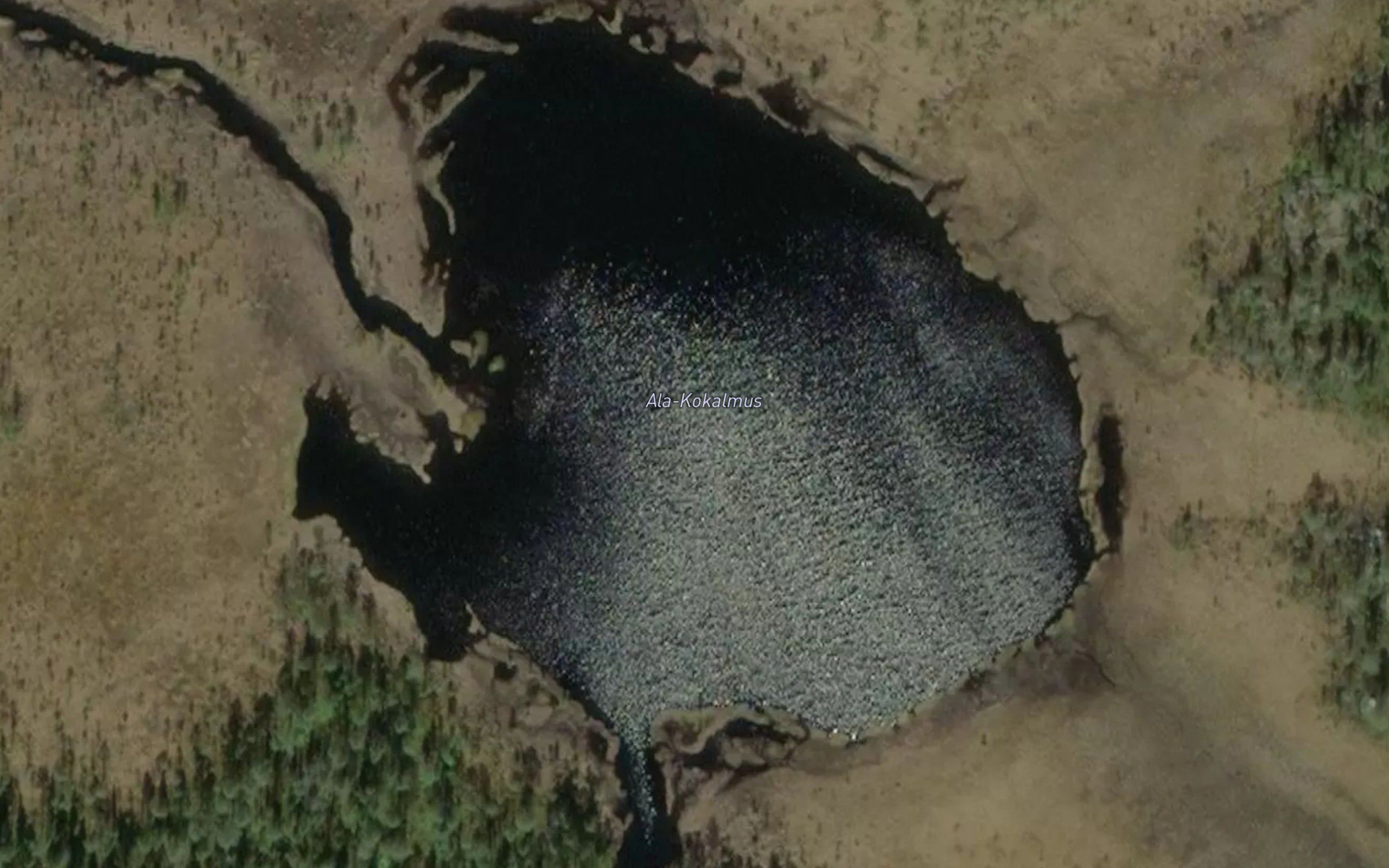 Ala-Kokalmus