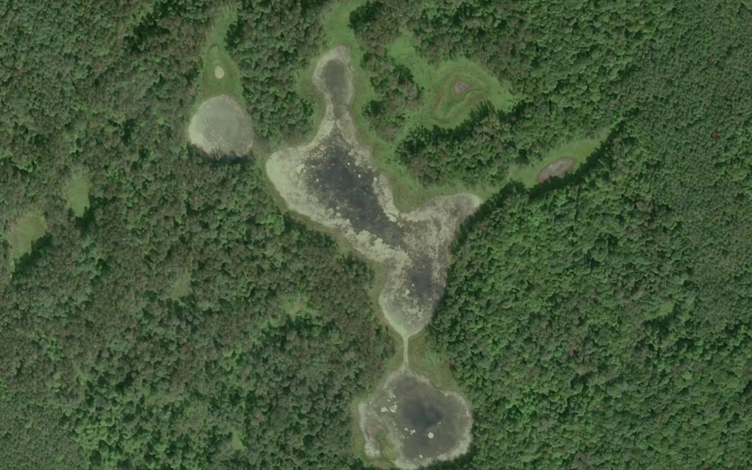 Birch Lake