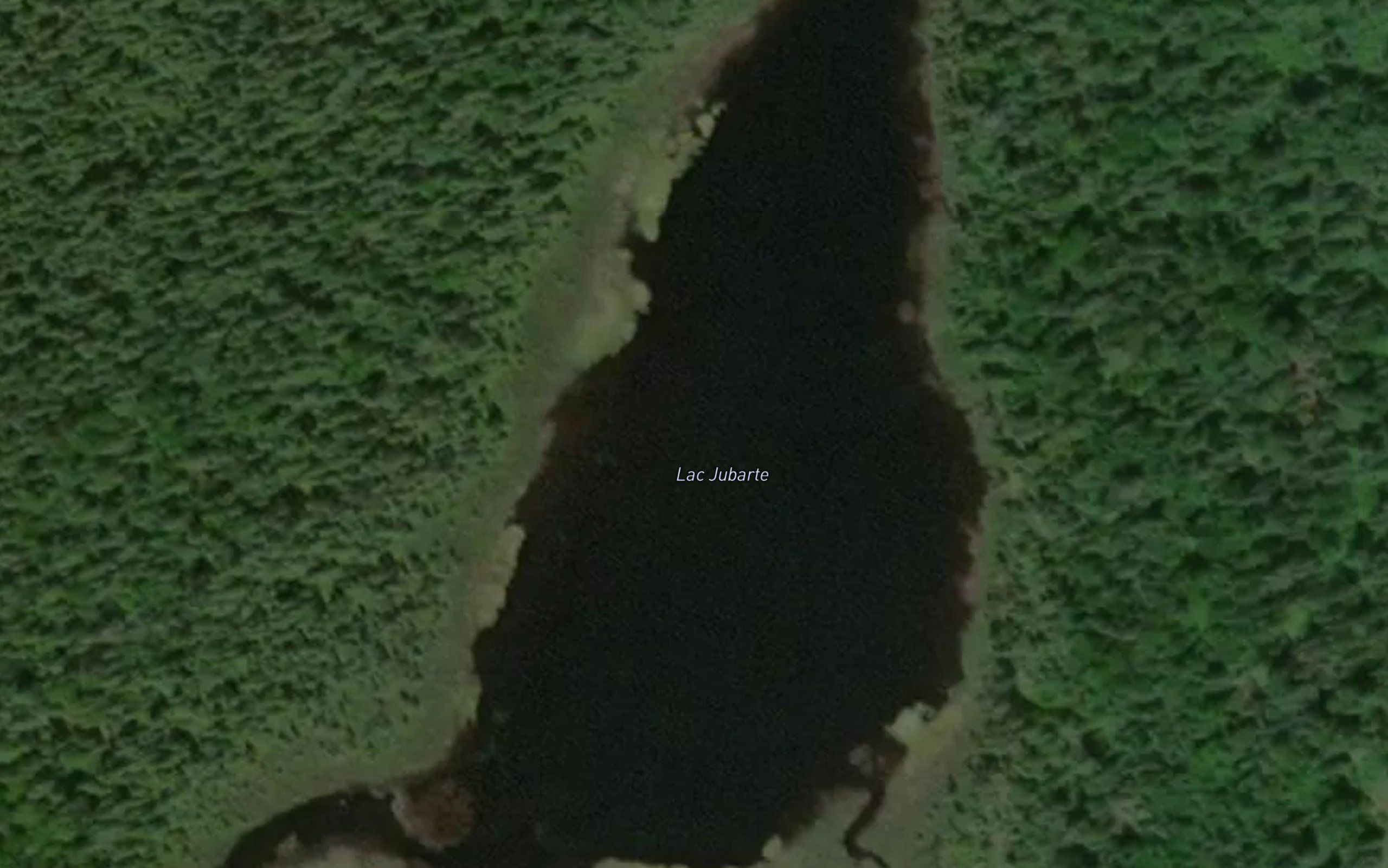 Lac Jubarte