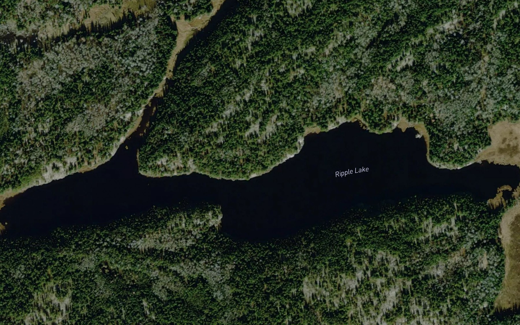 Satellite map of the Ripple Lake