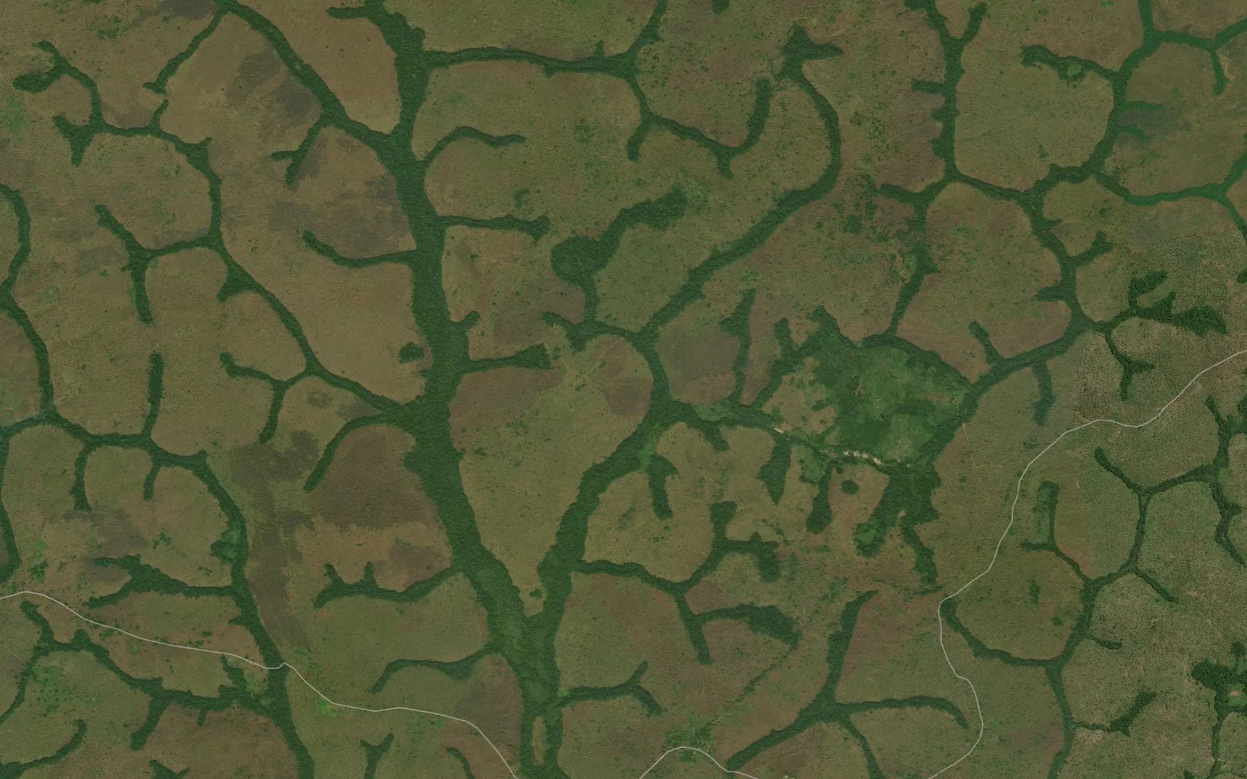 Satellite map of the Songogo