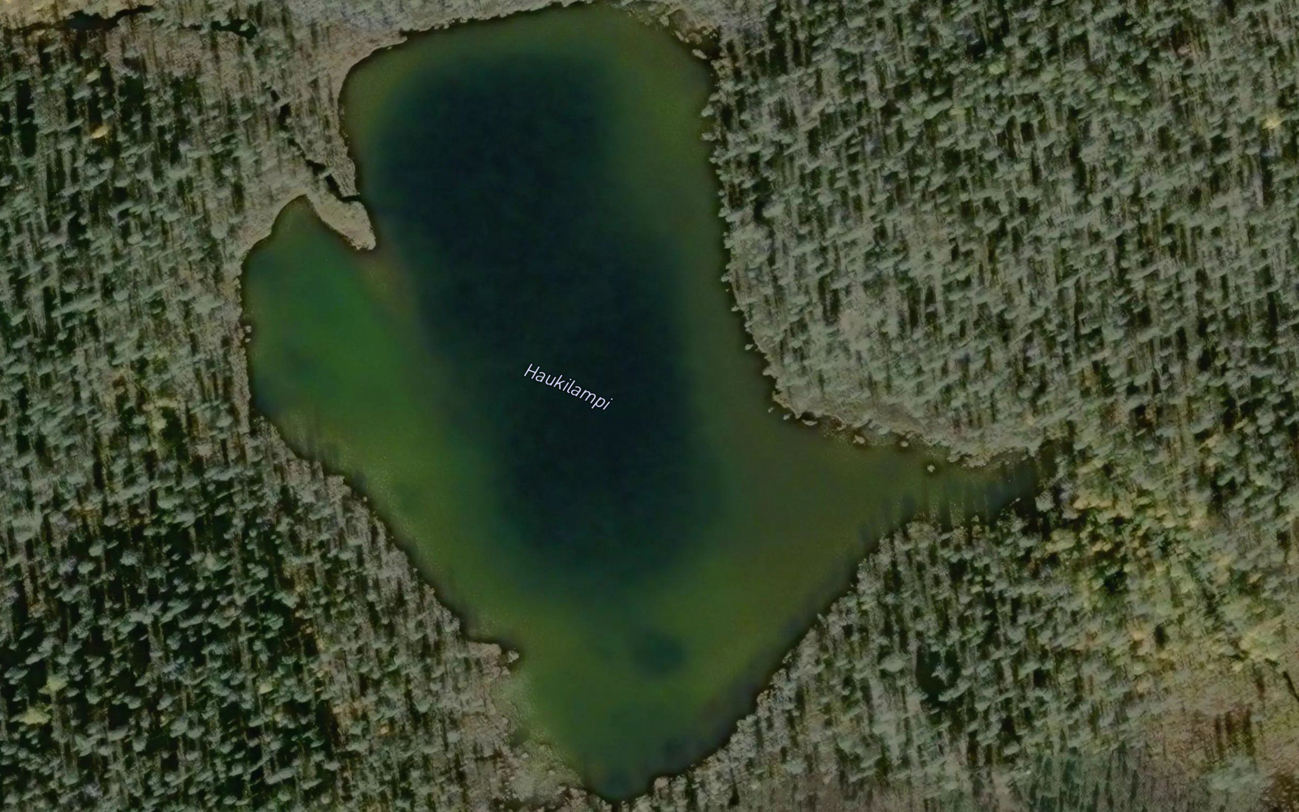 Haukilampi