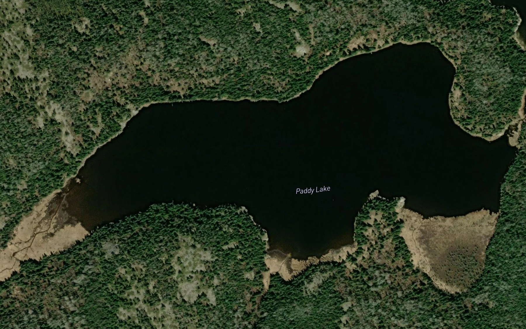 Satellite map of the Paddy Lake